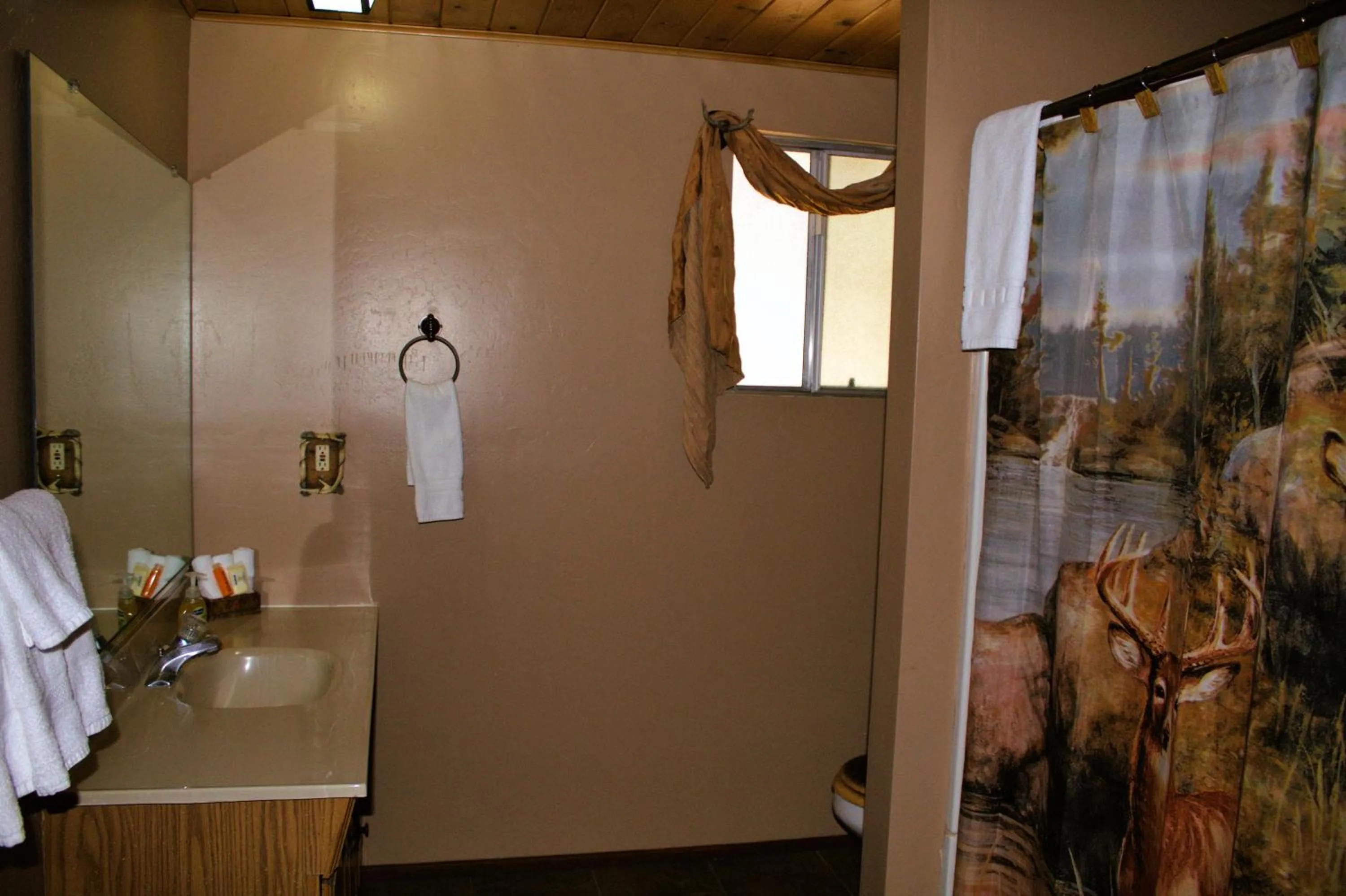 Bathroom in Goldmine Lodge