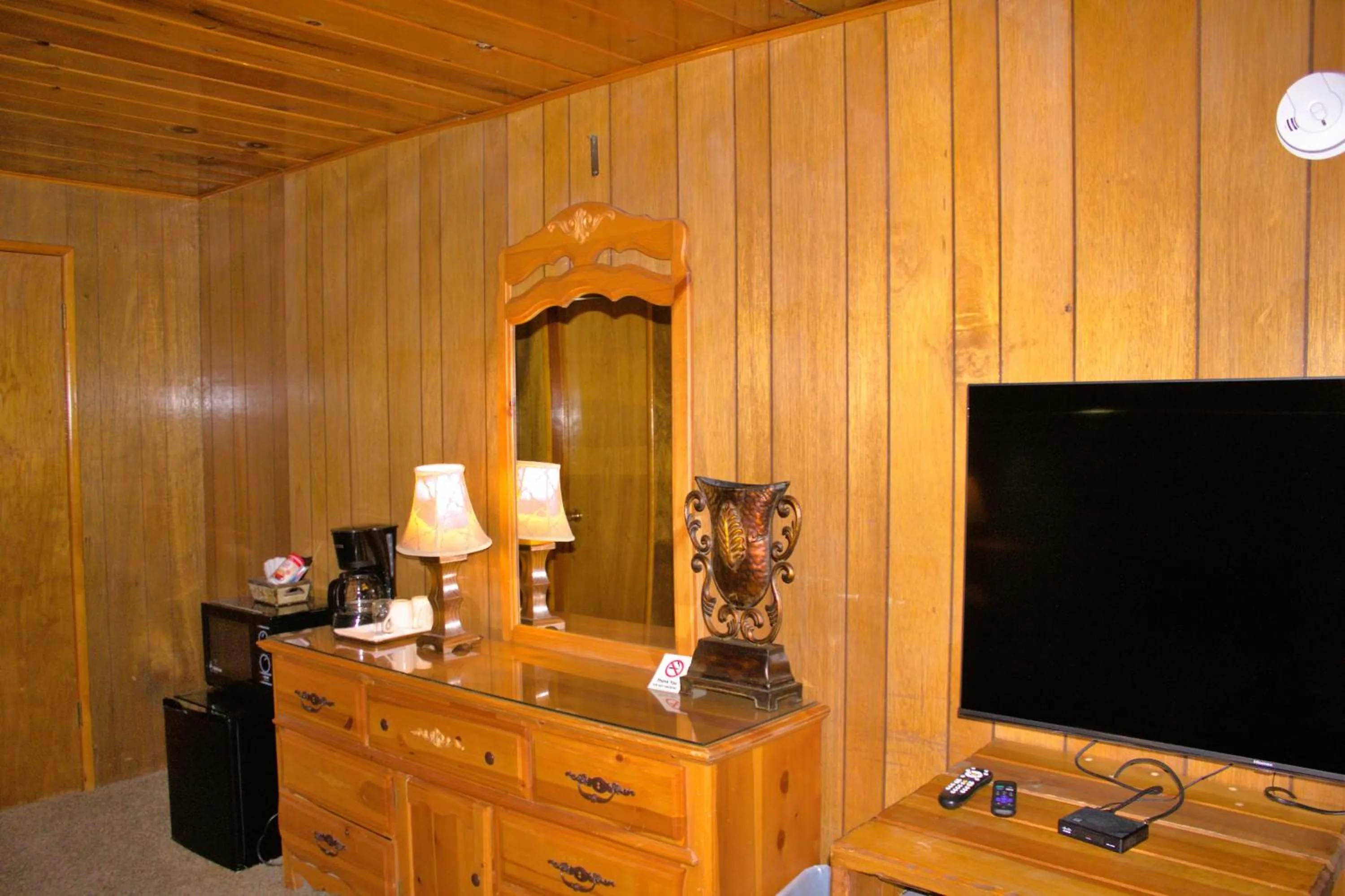 TV and multimedia in Goldmine Lodge