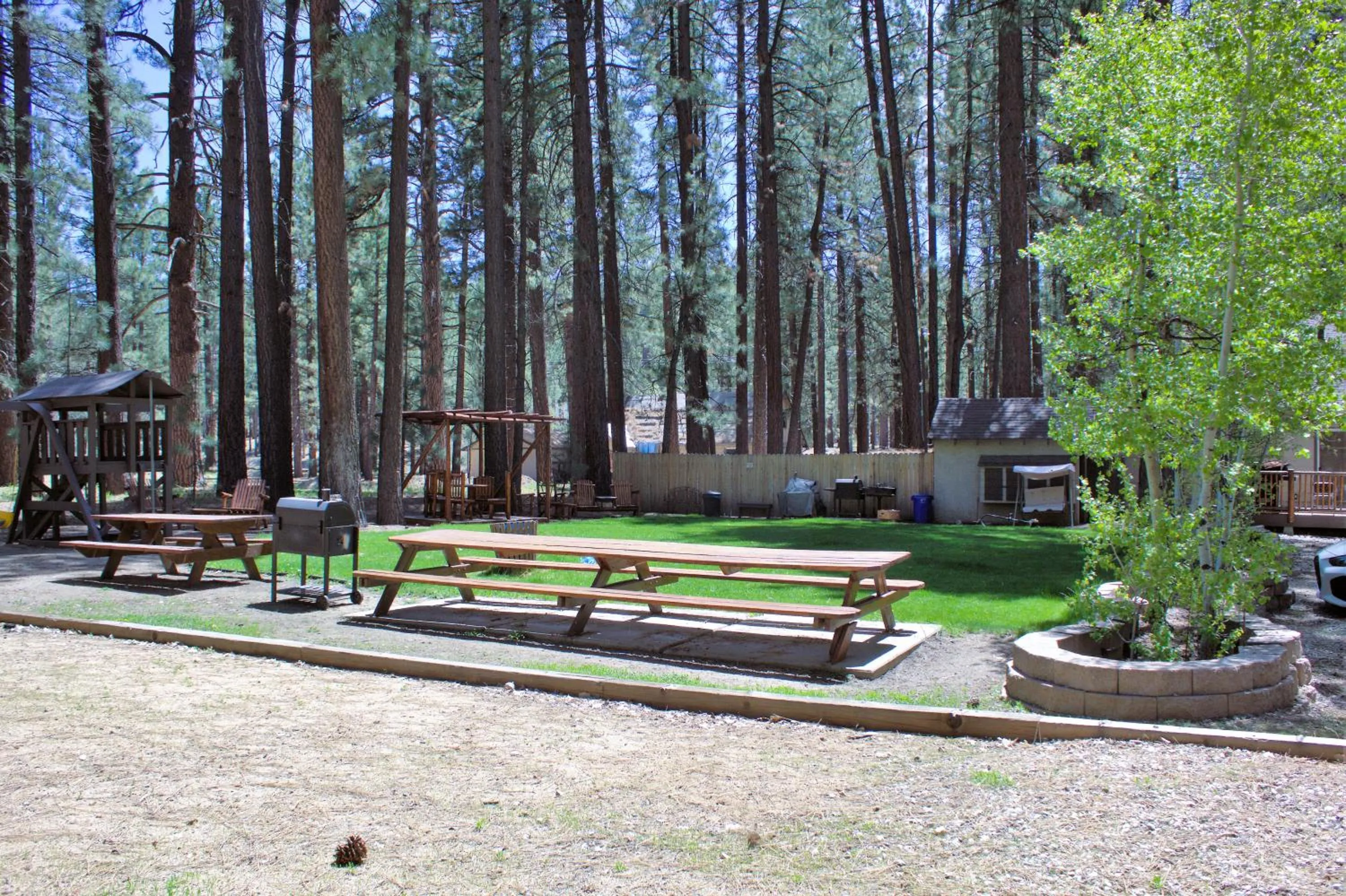Garden in Goldmine Lodge
