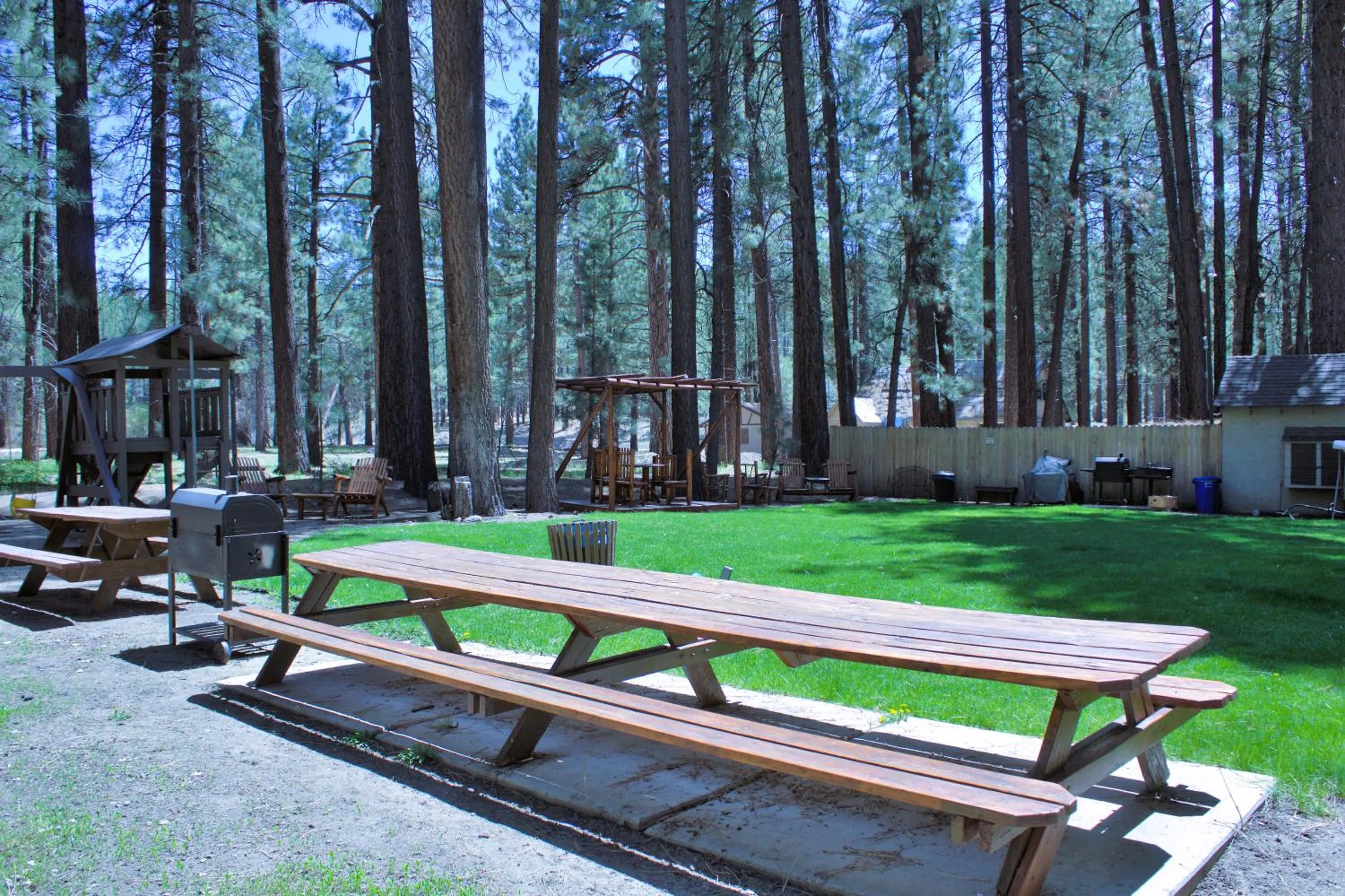 Garden in Goldmine Lodge