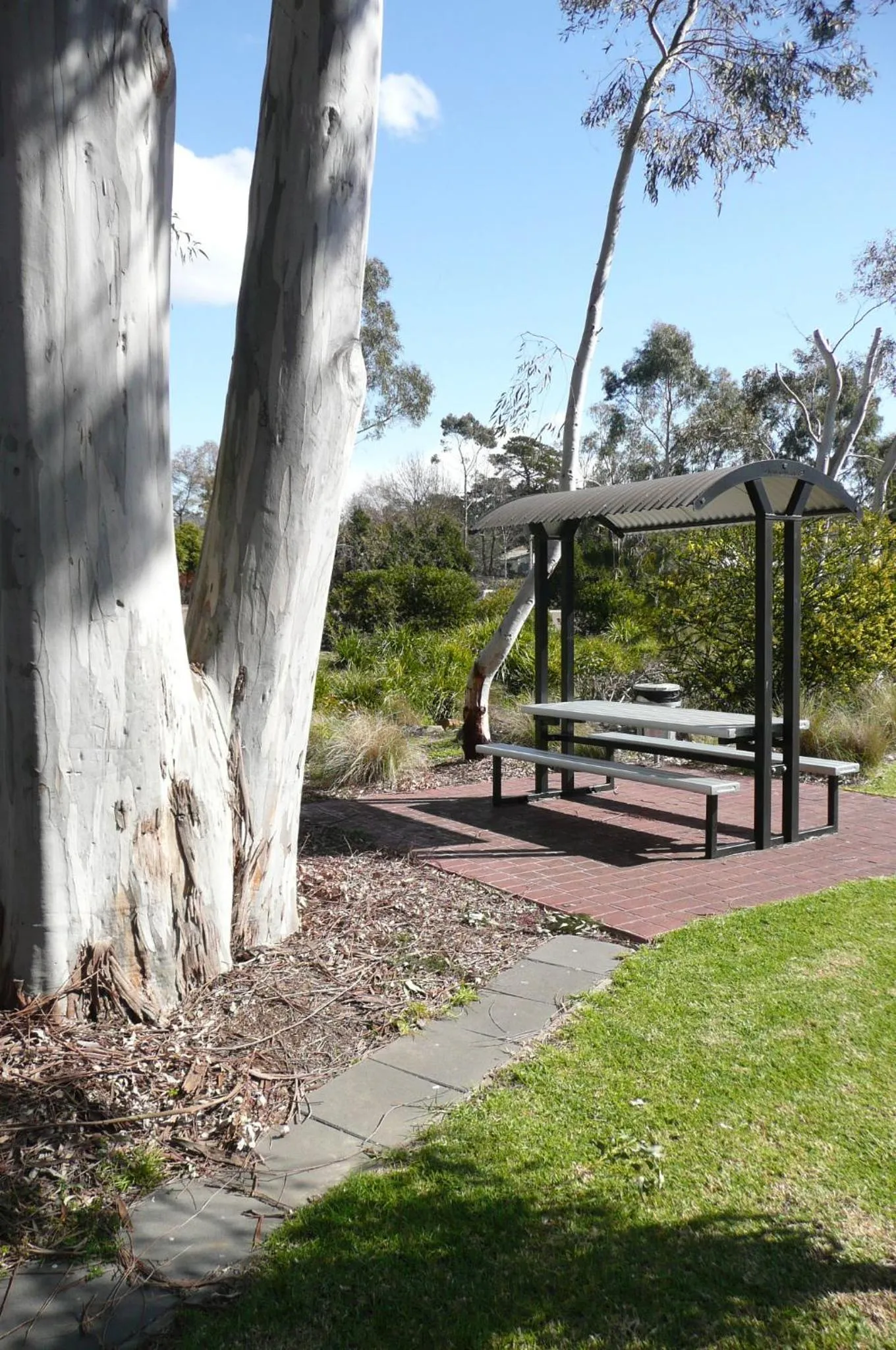 Garden in Springs Mittagong