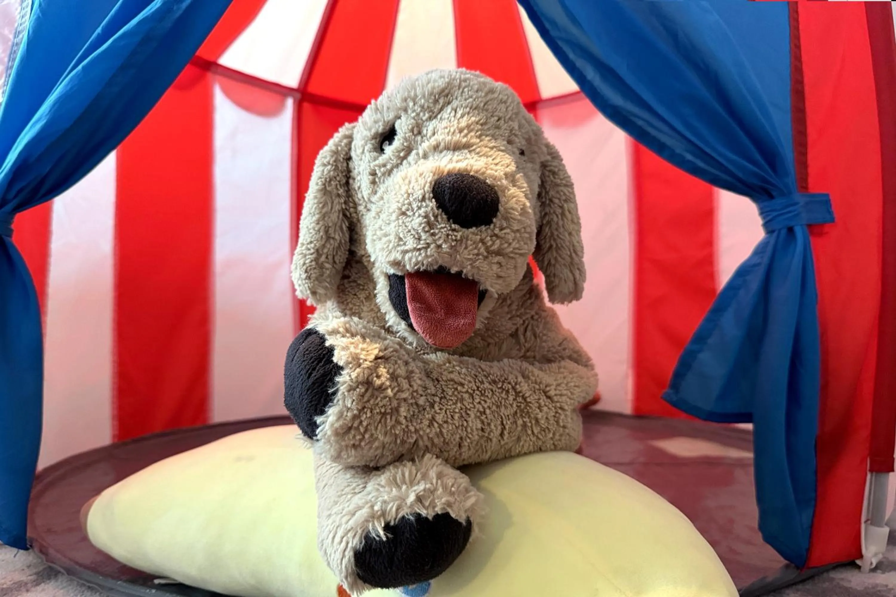 Bedroom in Crowne Plaza Wuzhen by IHG