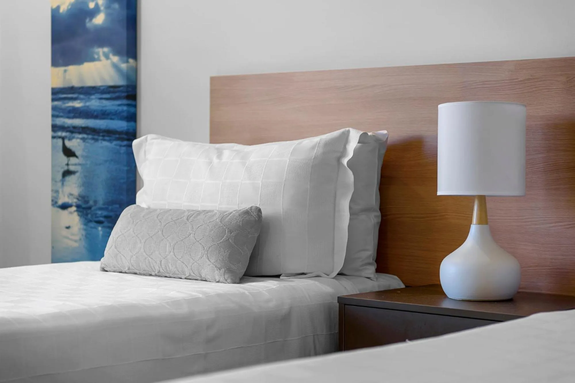 Bed in Springs Shoalhaven Nowra