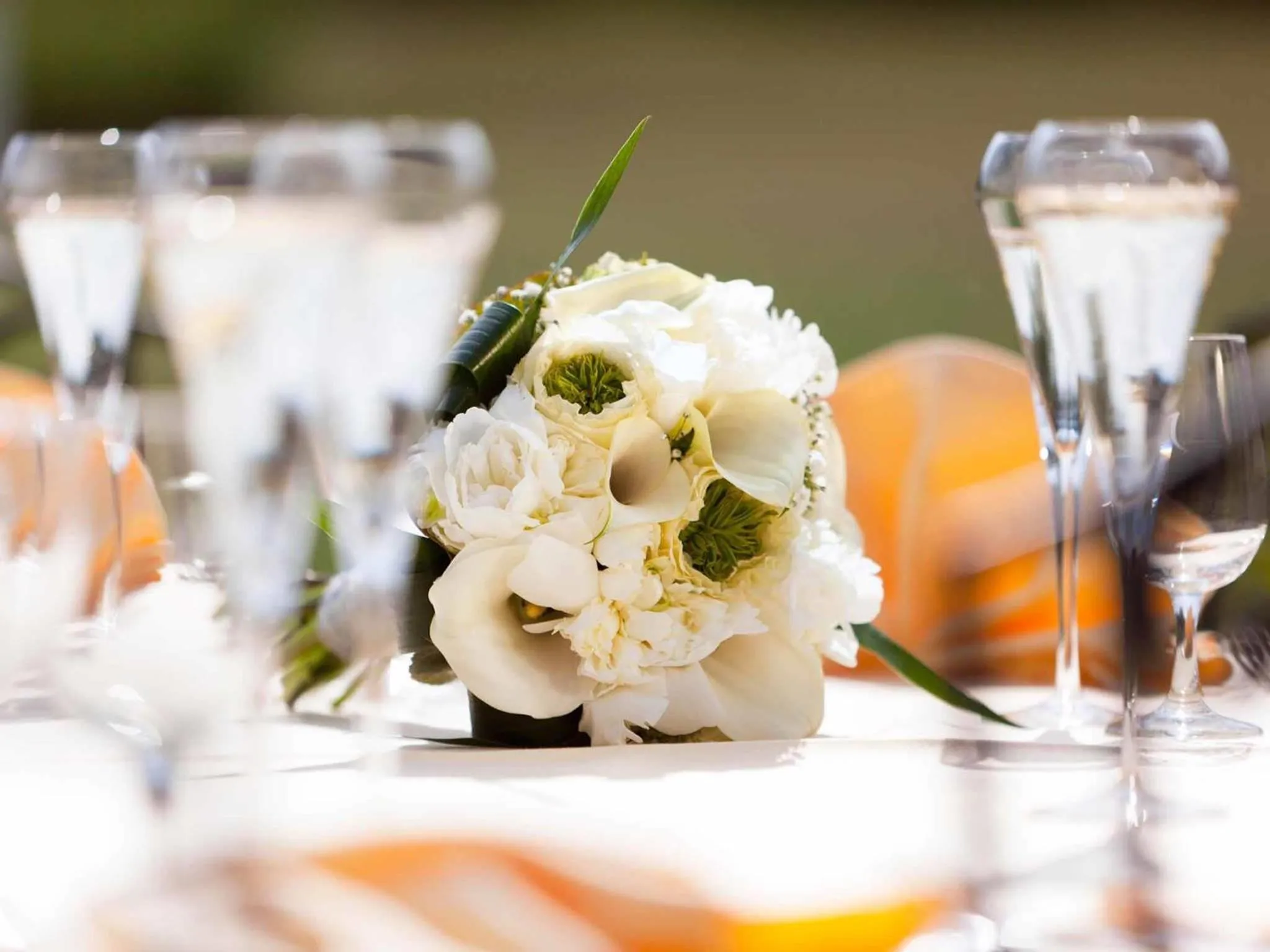 wedding in Mercure Auxerre Autoroute du Soleil