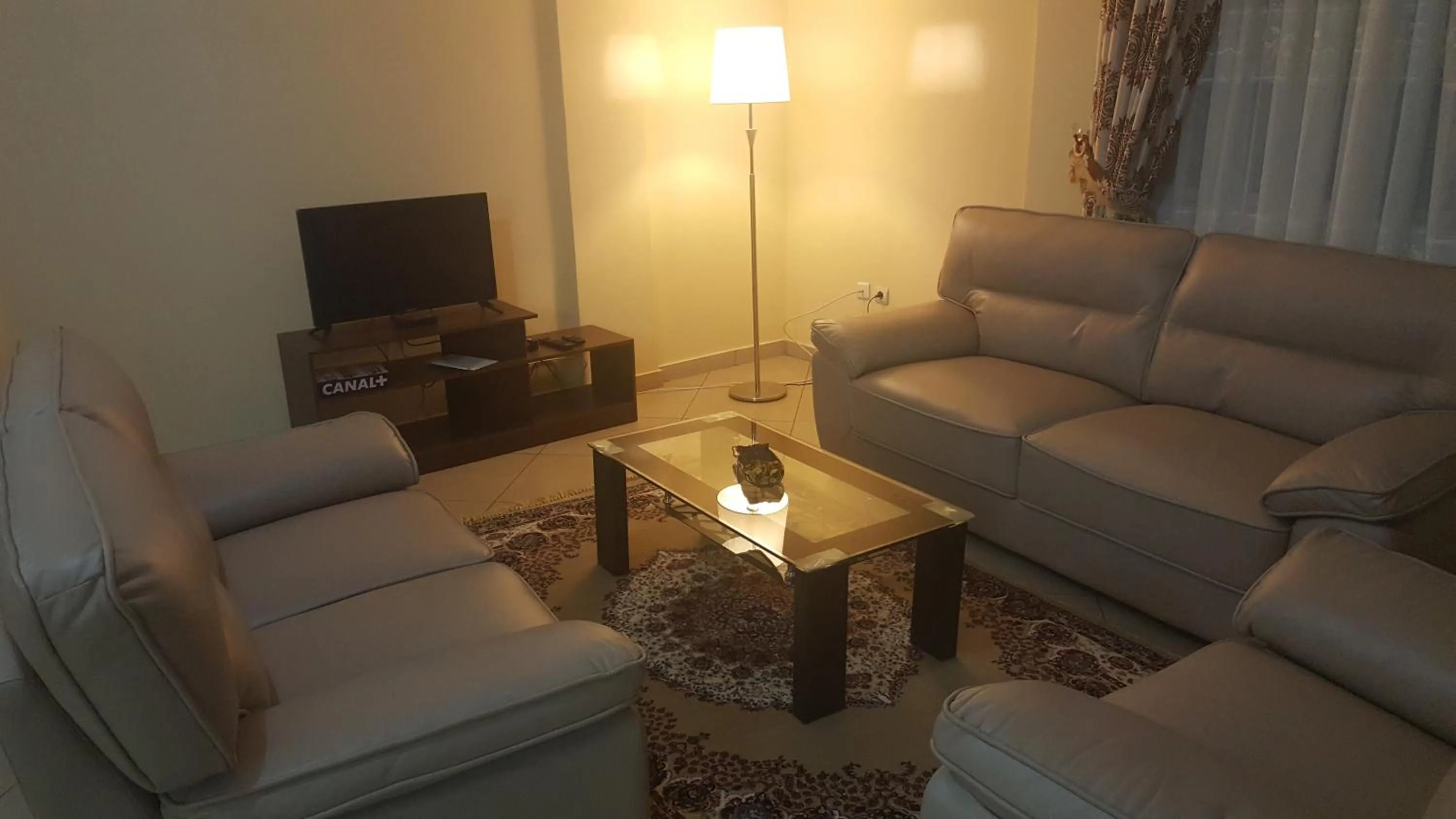 TV and multimedia in Résidences hôtelières Micheline et Emile BASTOS