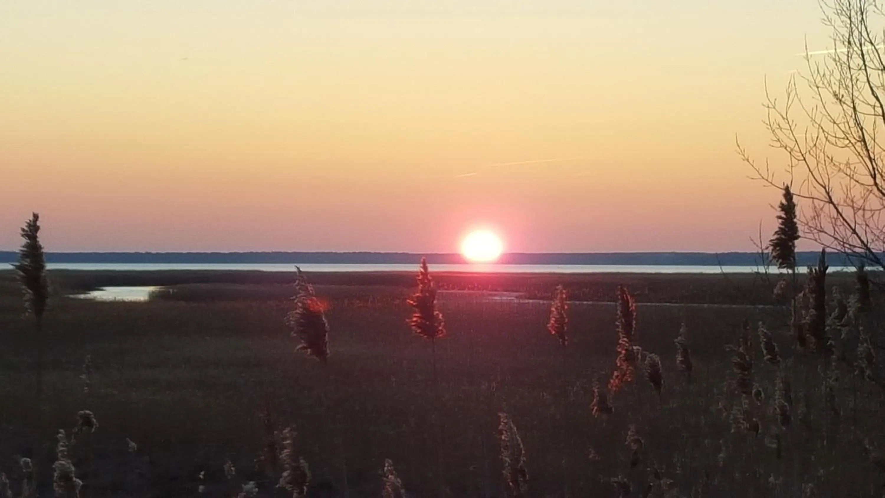 Natural landscape in Captain Pahlen Ferienanlage