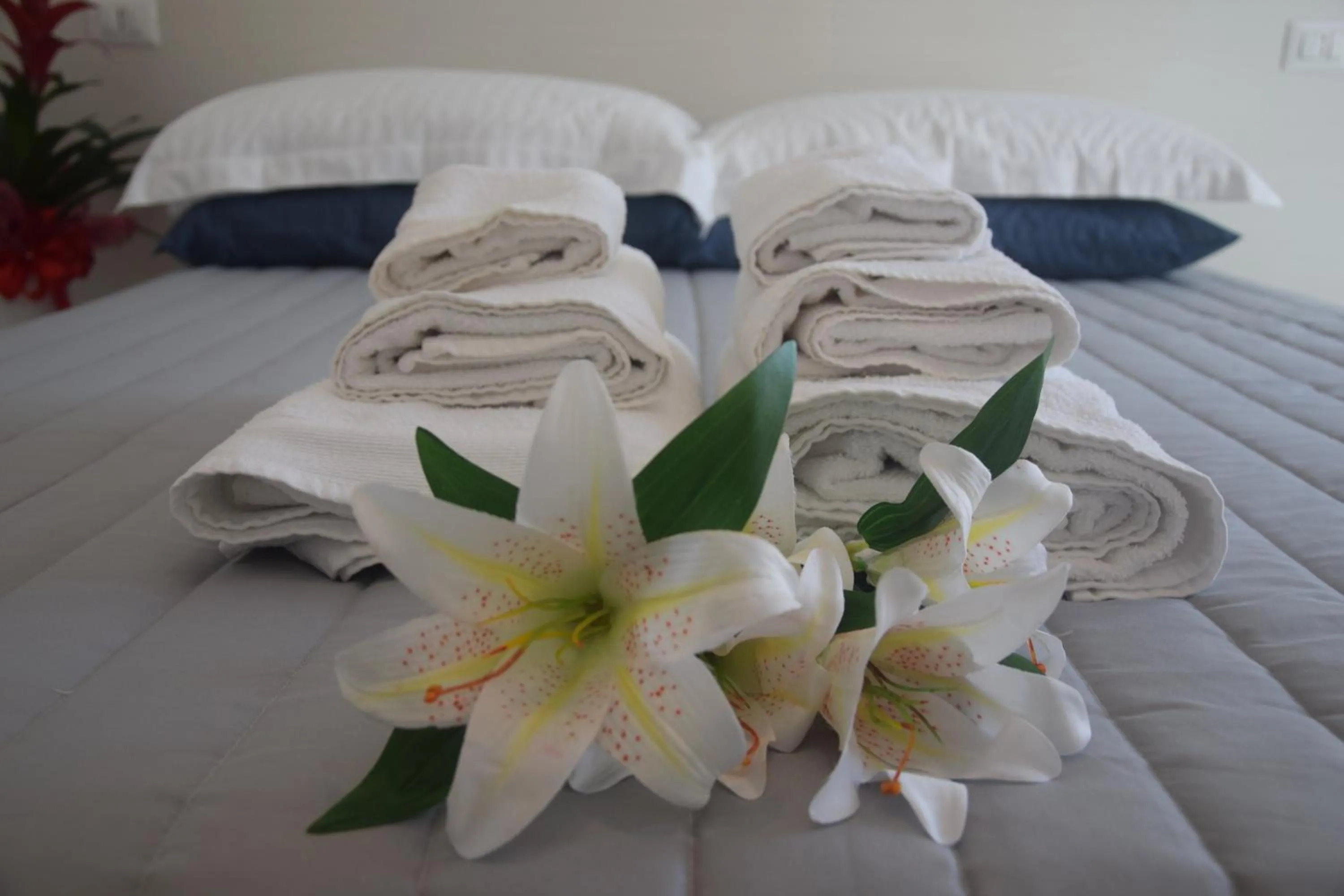 Bed in B&B EDEN OGLIASTRA