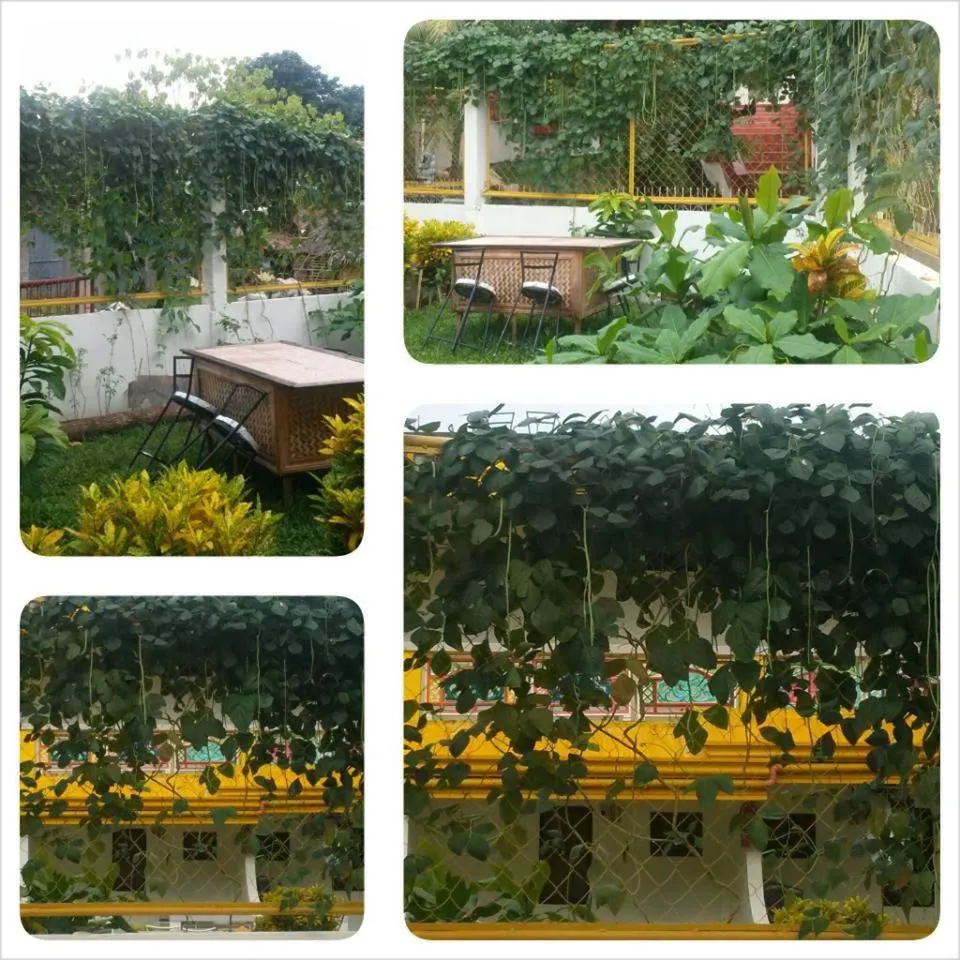 Garden in Bambooze Hauz