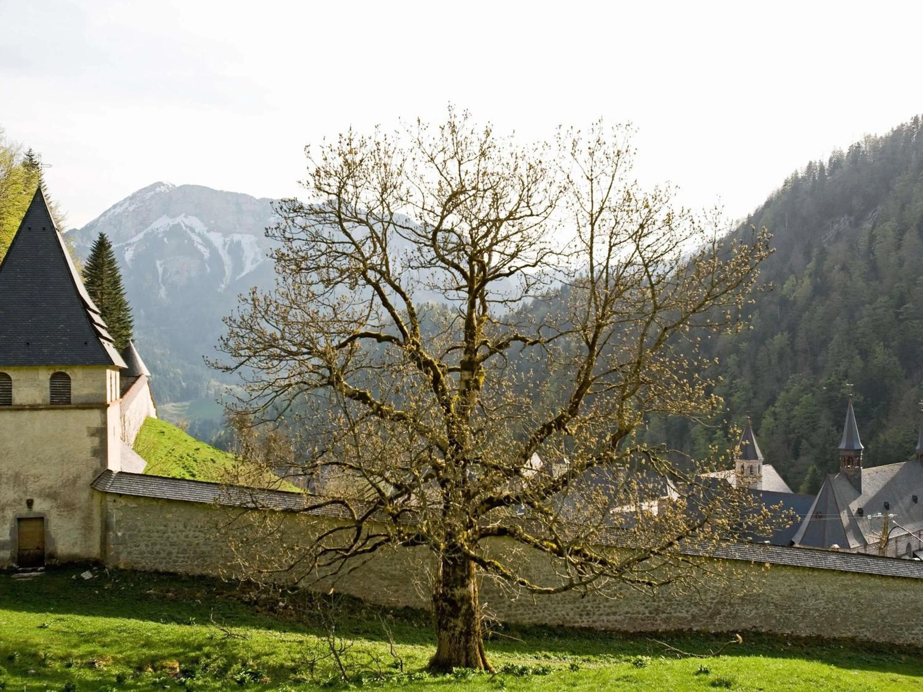 Other in Mercure Grenoble Meylan