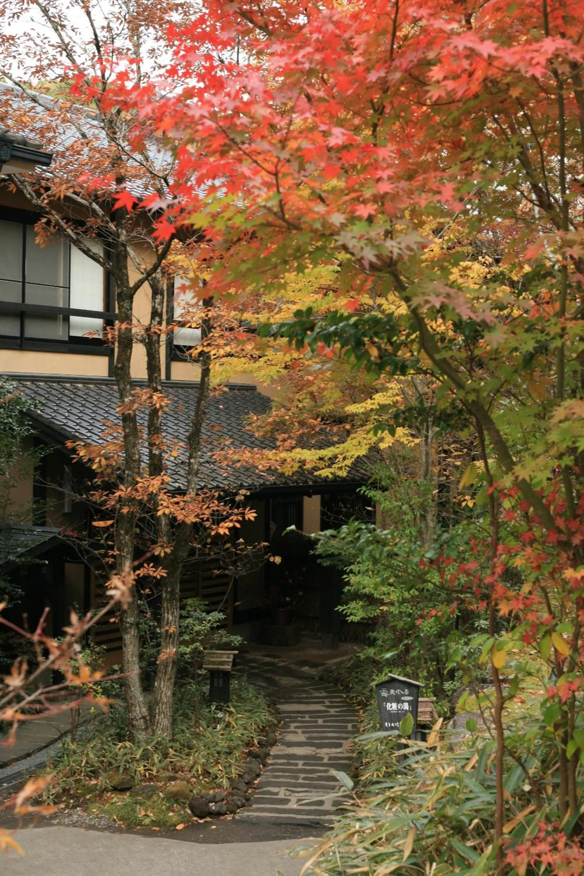 Property building in Ryokan Wakaba