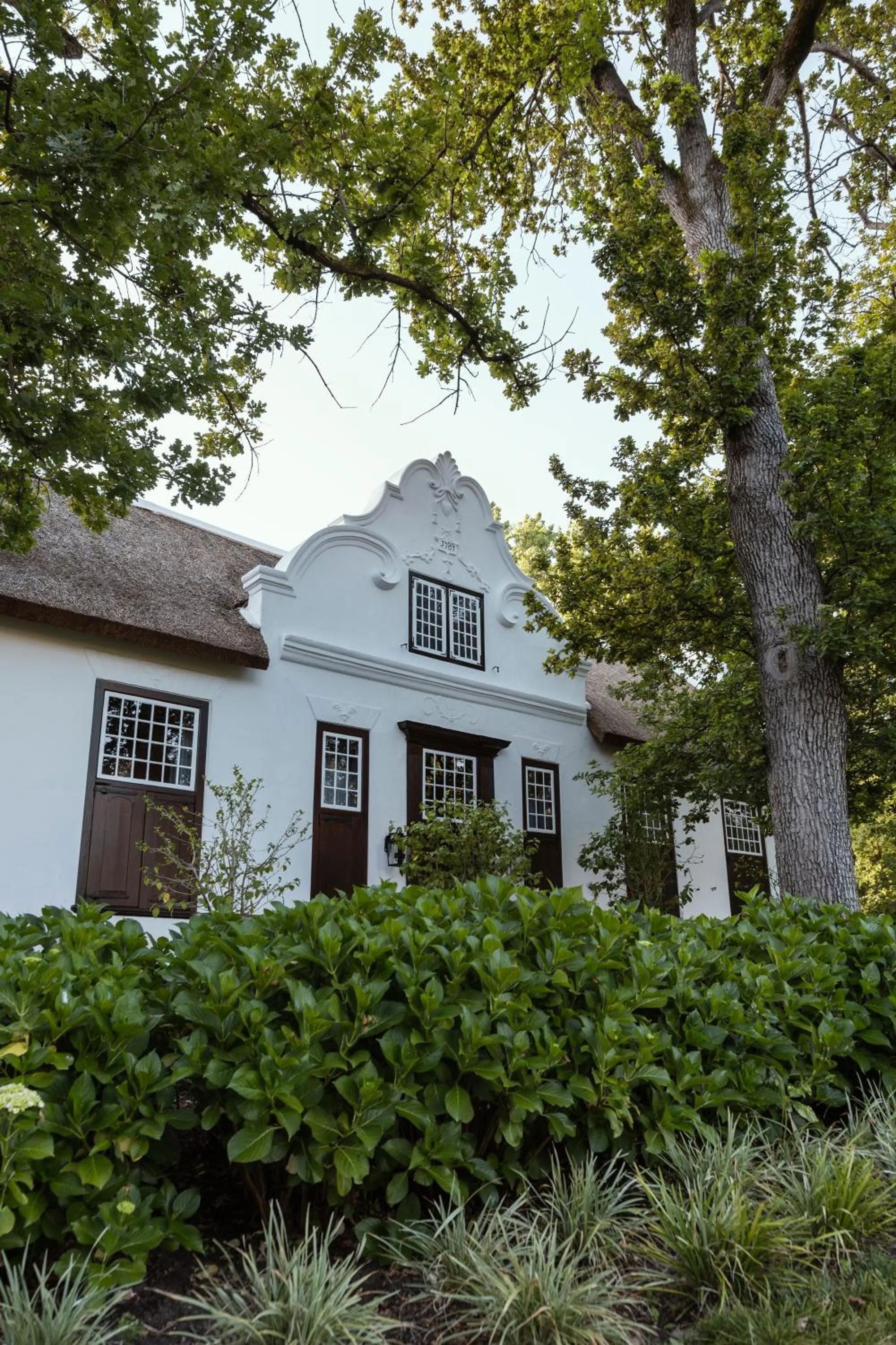 Property building in Blaauwklippen Manor by NEWMARK
