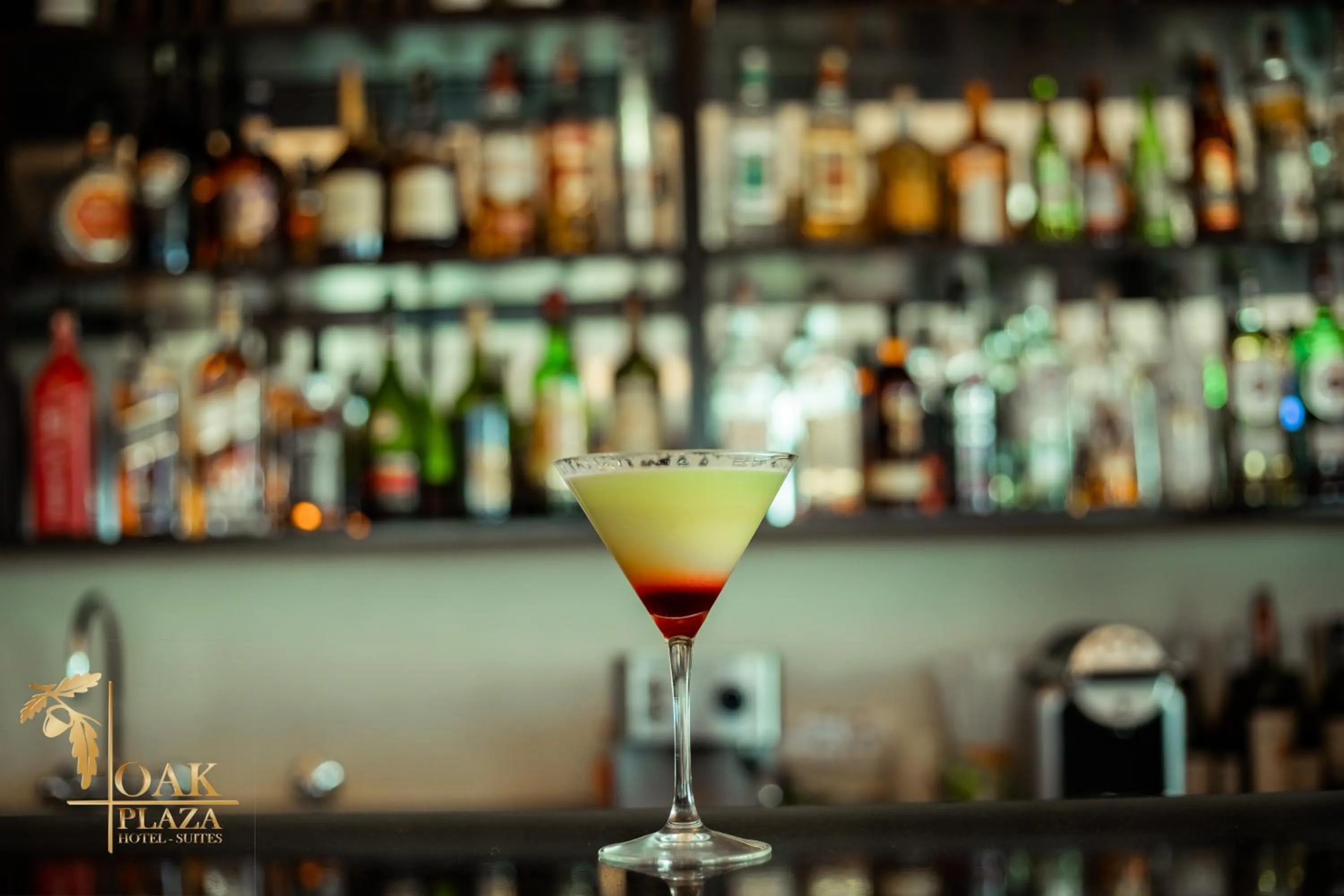 Lounge or bar in Oak Plaza Hotels East Airport