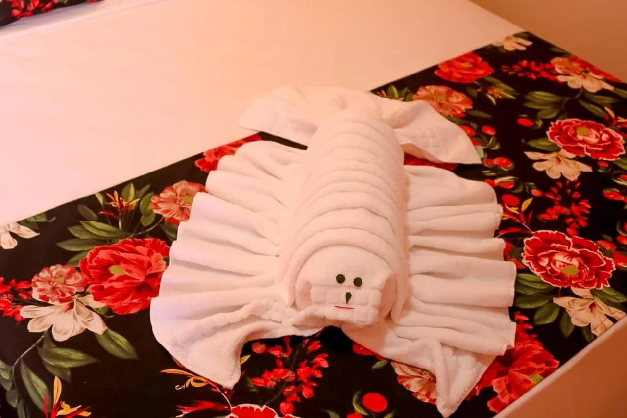 Photo of the whole room in Pousada Málaga