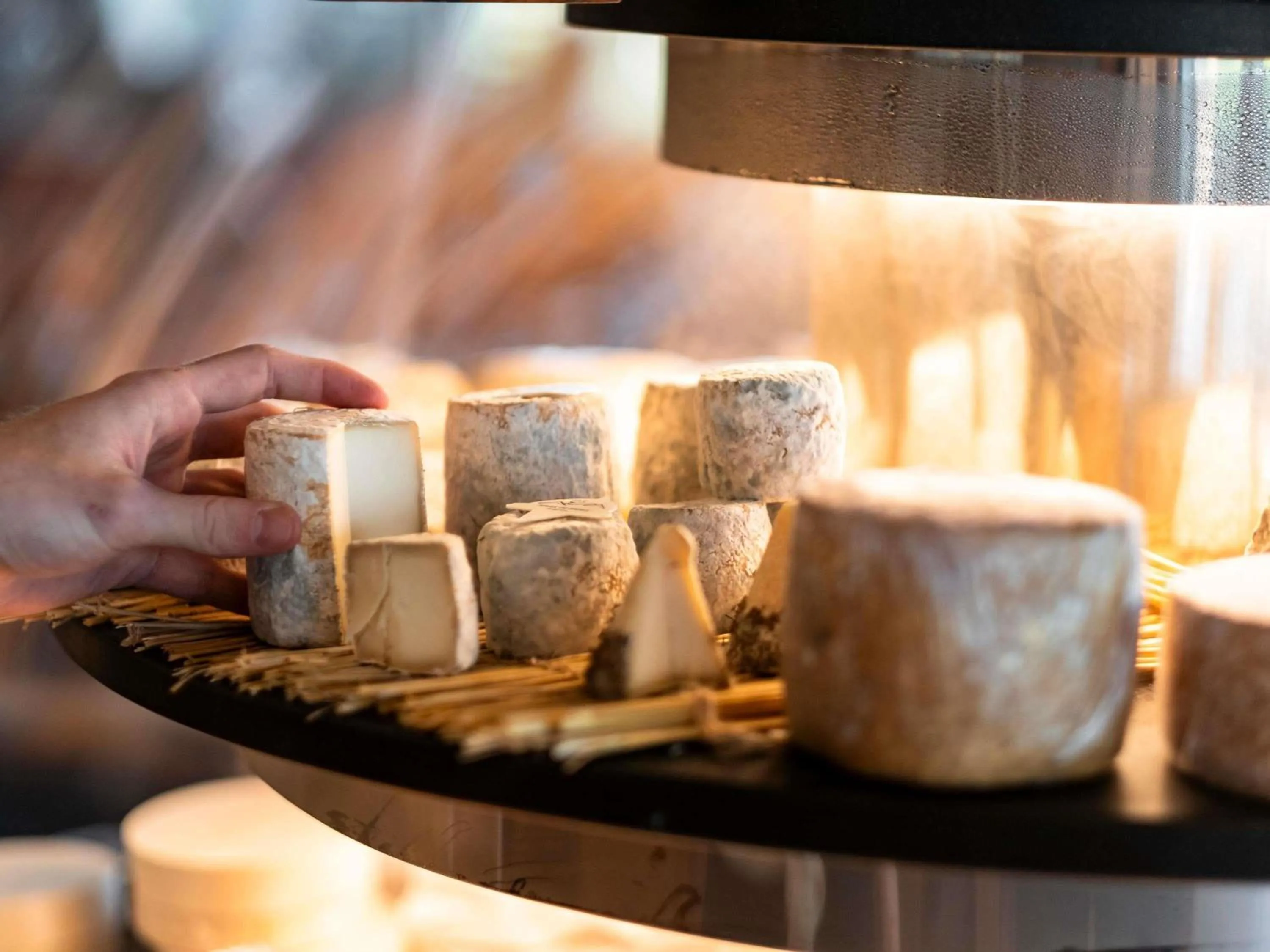 Restaurant/places to eat in Mercure Bayeux Omaha Beach