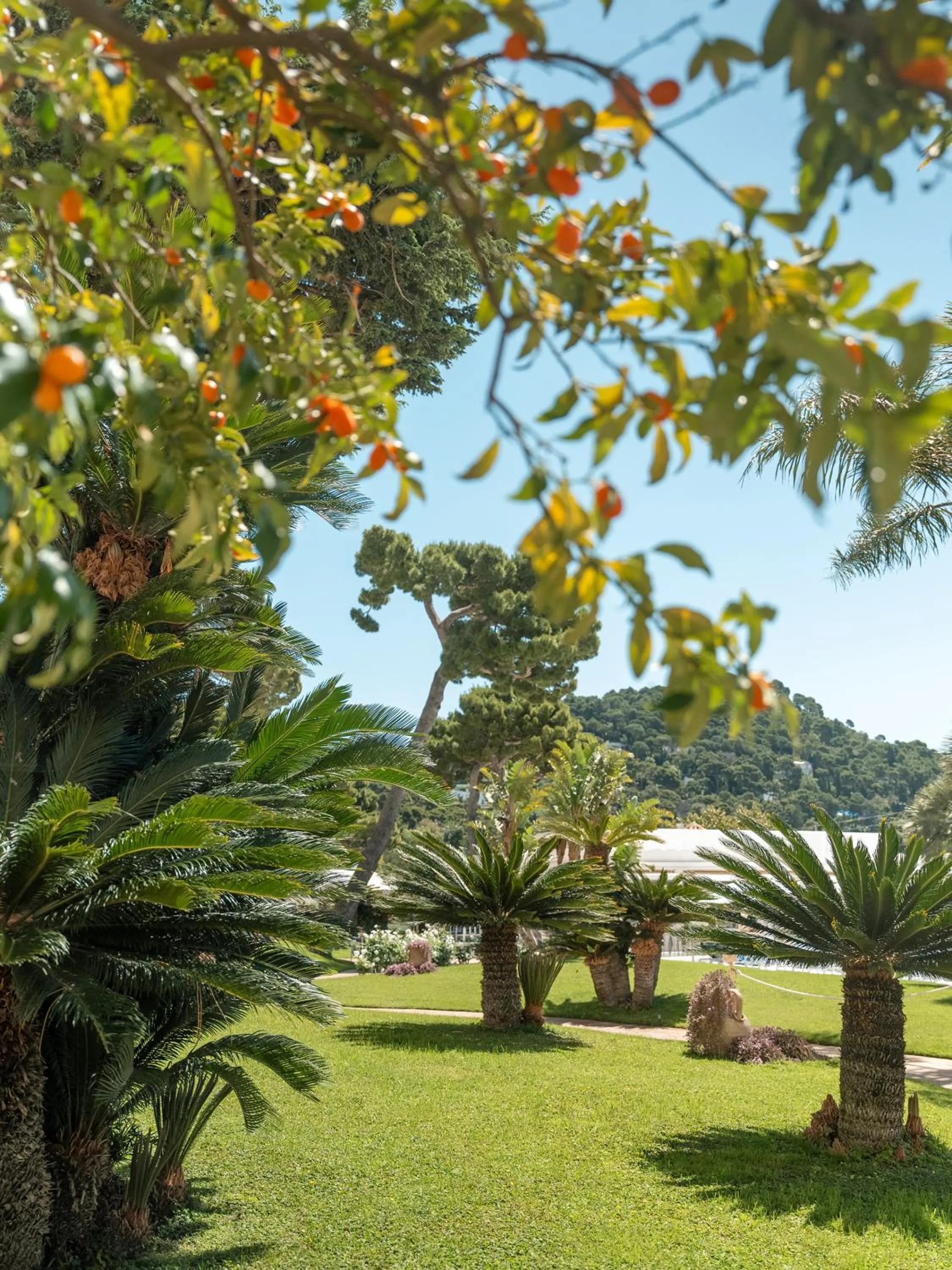 Garden in Hotel Quisisana