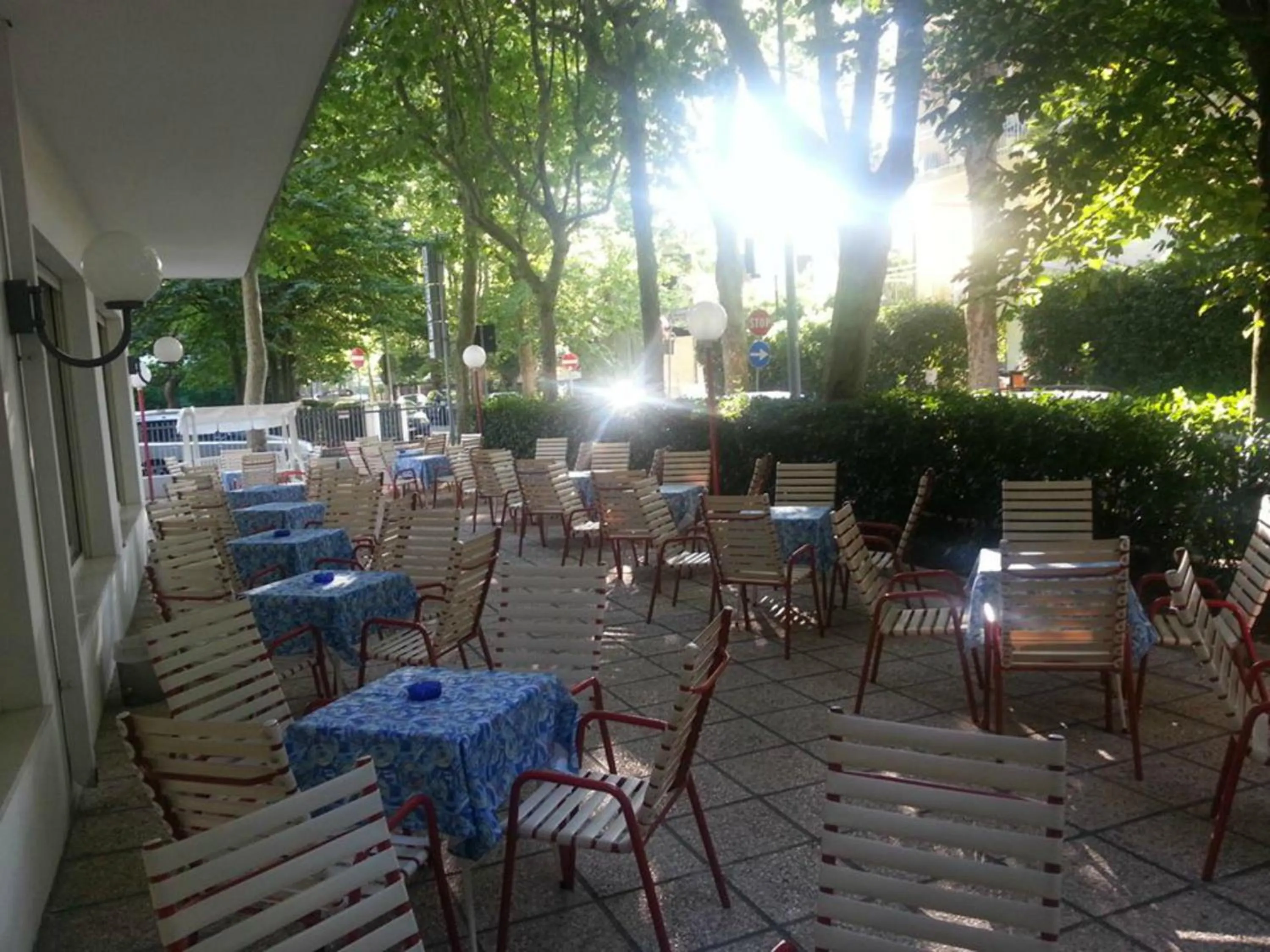 Garden in Hotel Irene