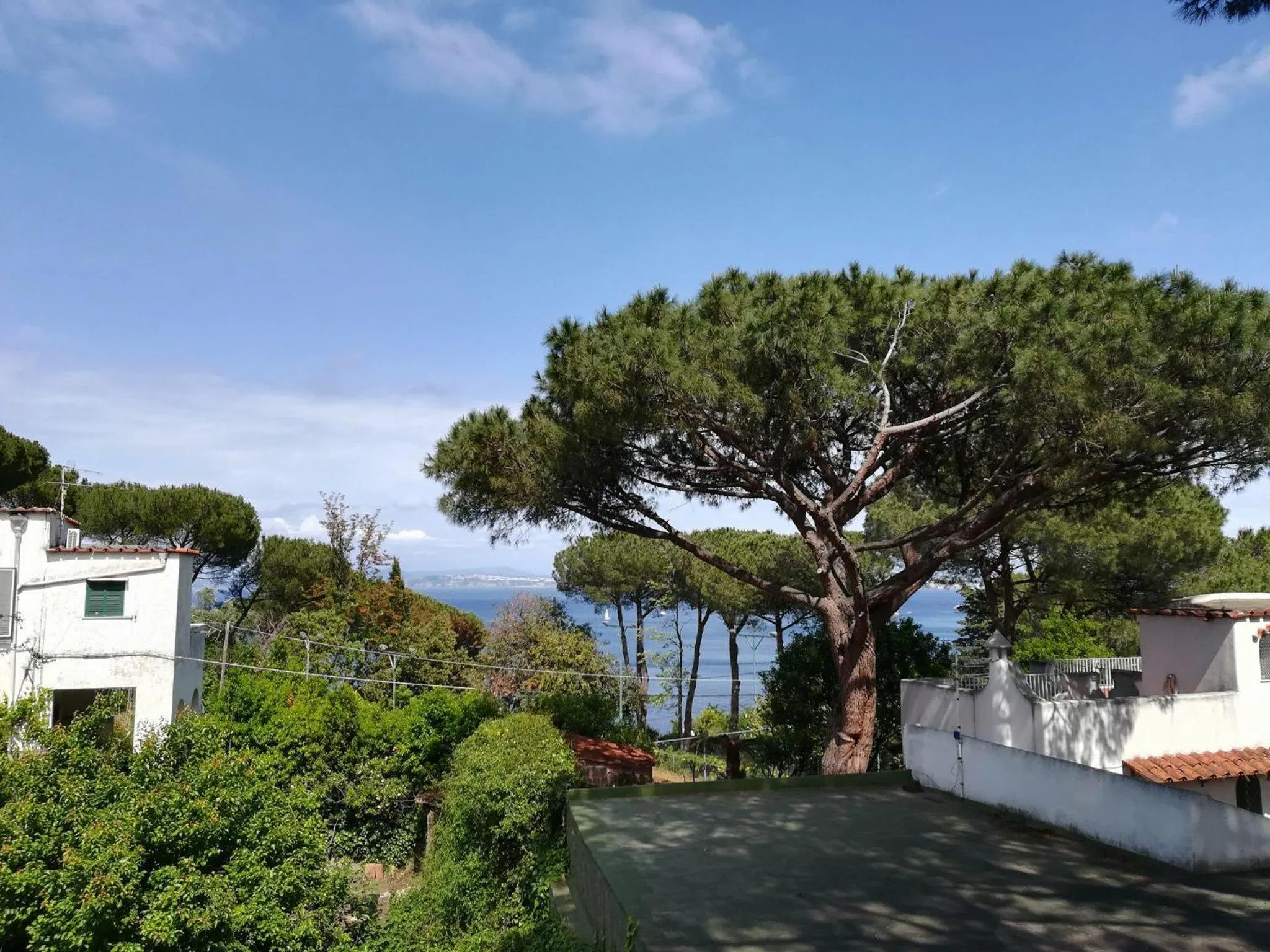 Balcony/Terrace in Villa Cinque Pini