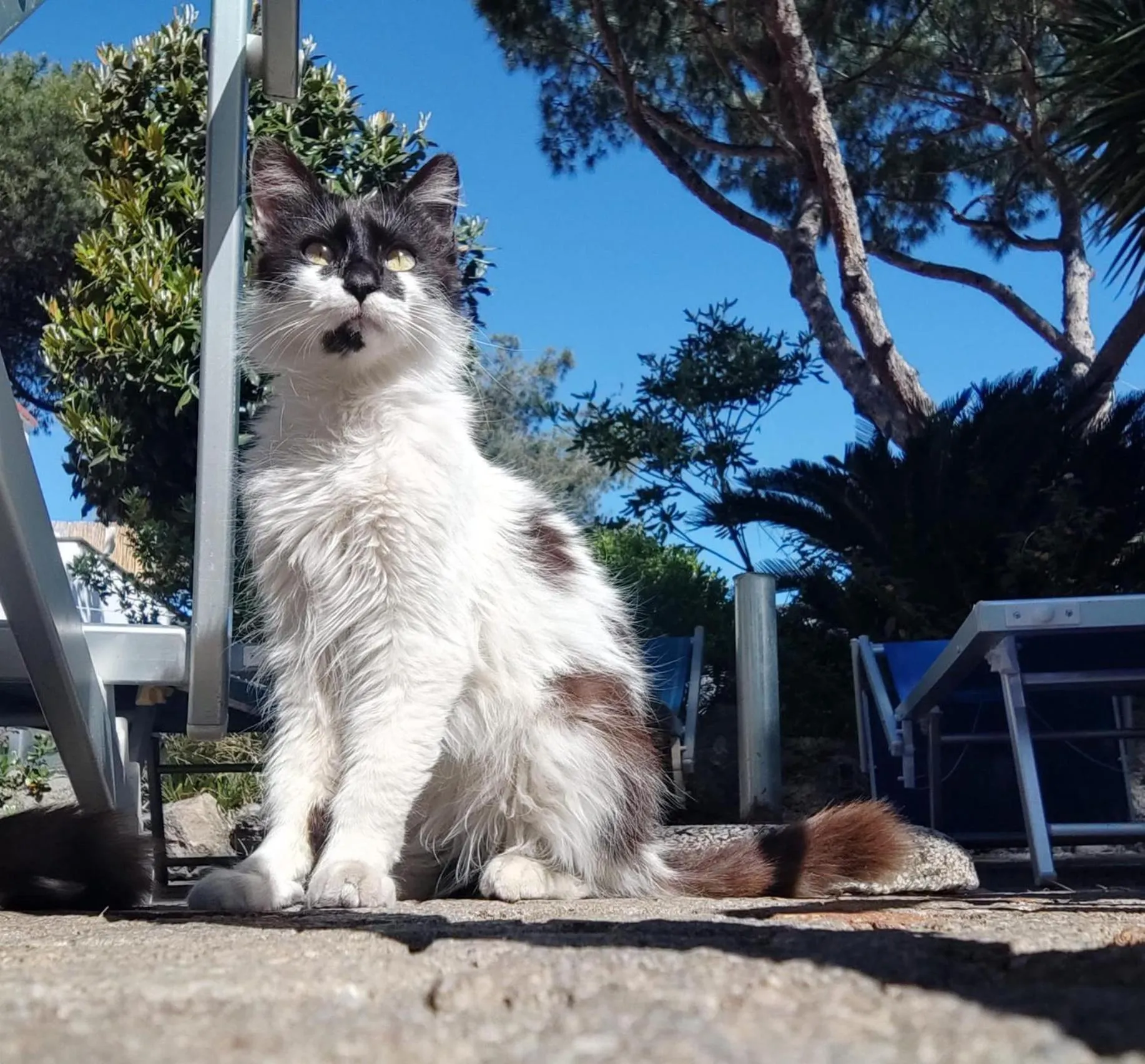 Day in Villa Cinque Pini