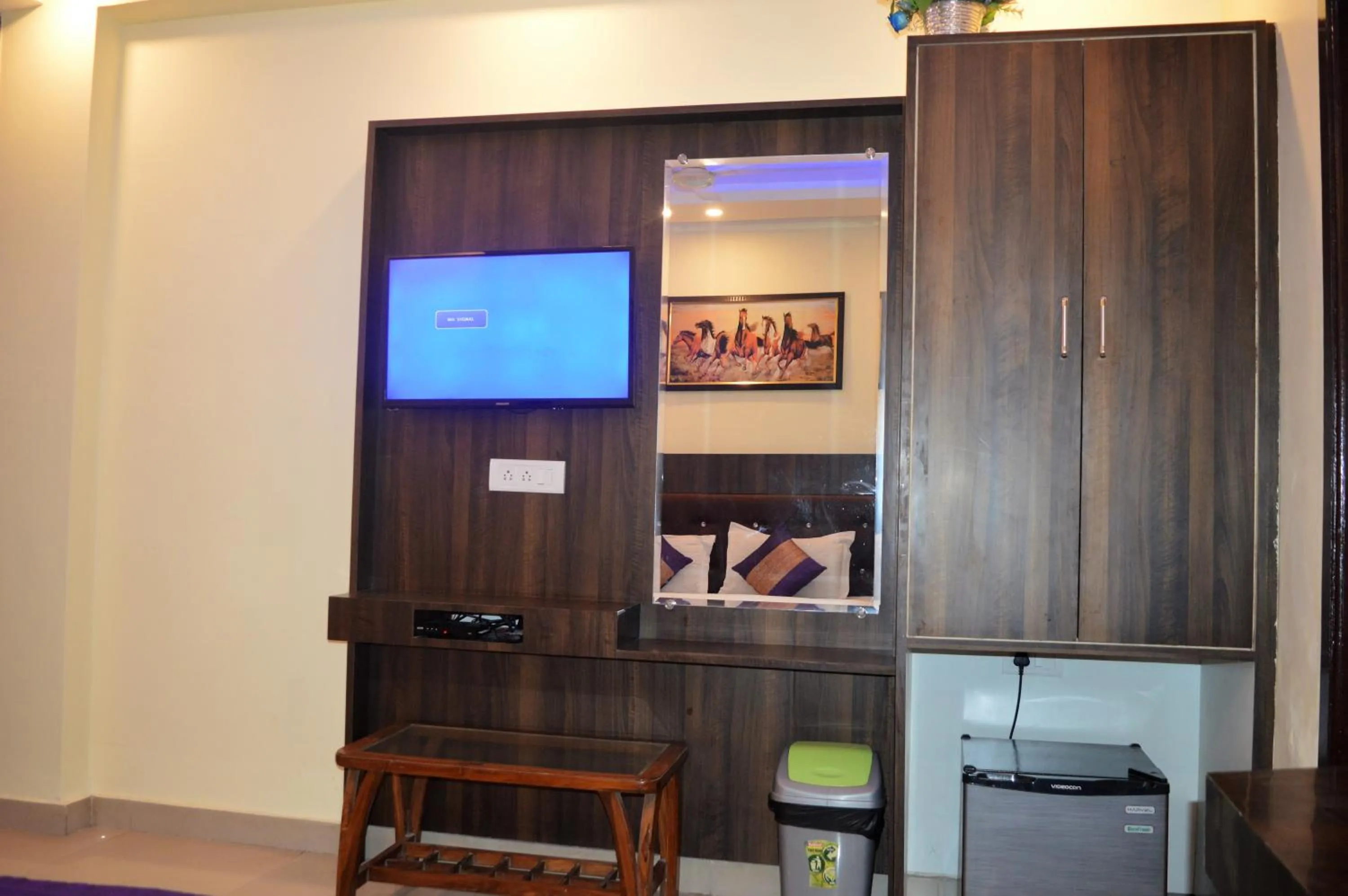 TV and multimedia in Cottage Ganga Inn