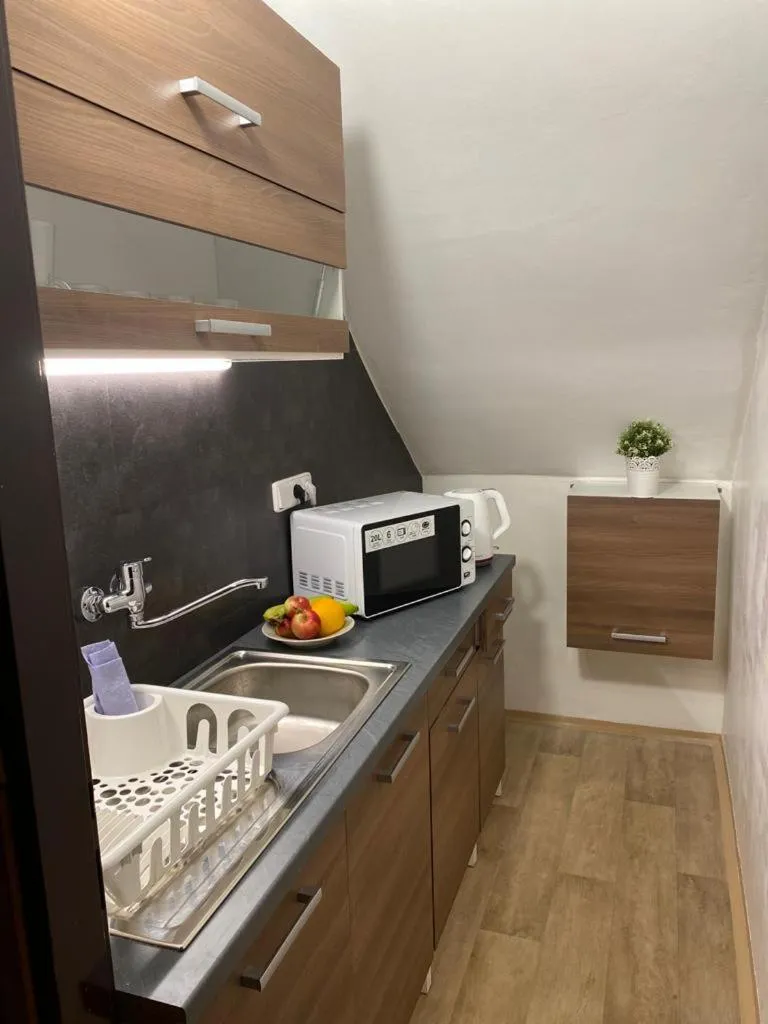 Kitchen or kitchenette in hotel Nautilus