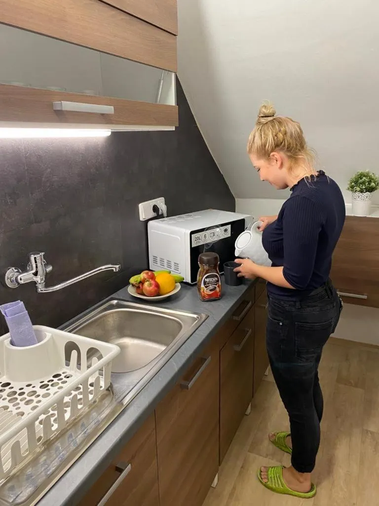 Kitchen or kitchenette in hotel Nautilus