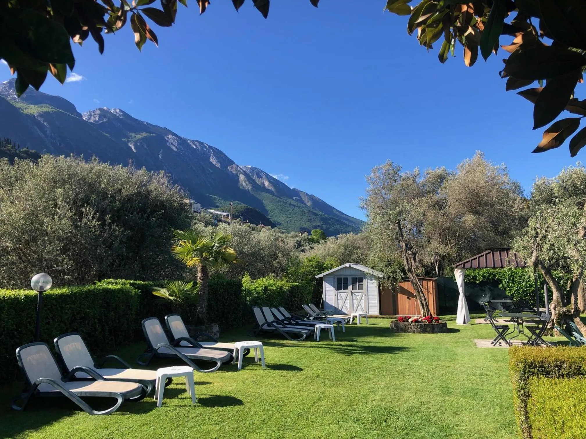 Garden in Hotel Villa Carmen