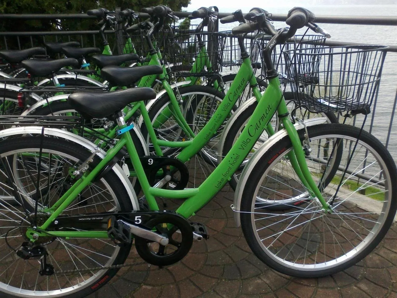 Day in Hotel Villa Carmen