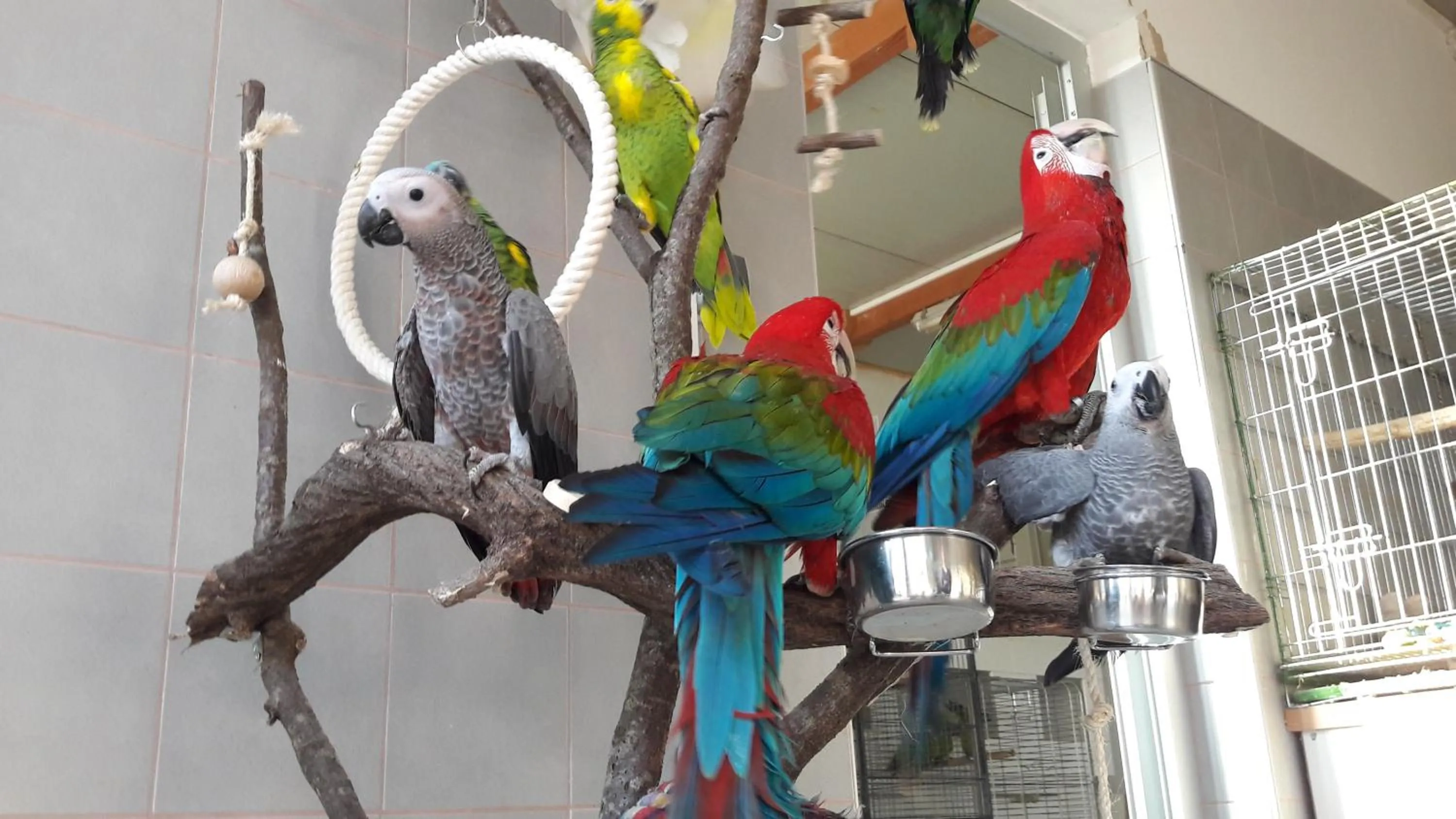 Activities in Anastasia Suites Zagreb