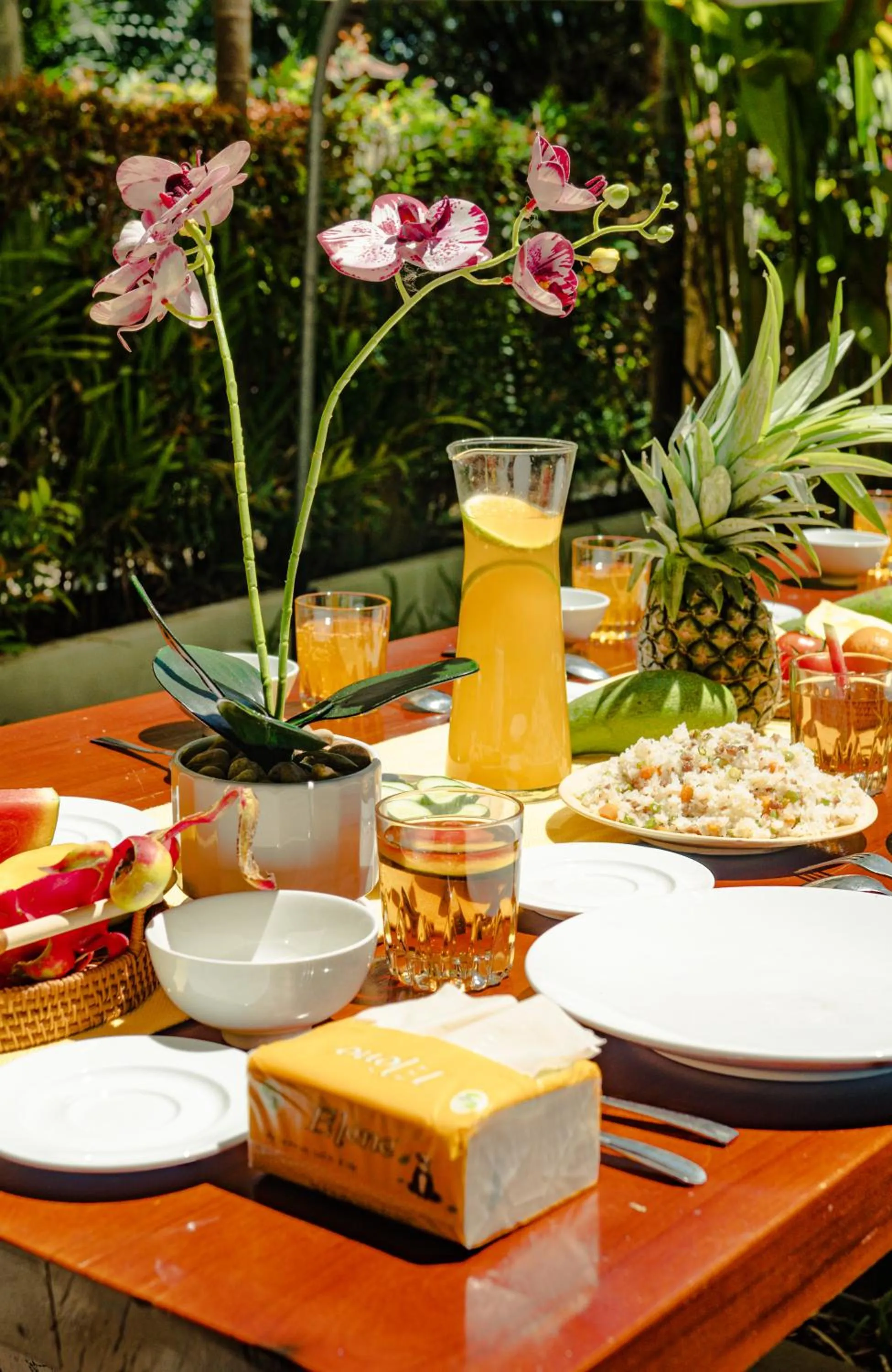 Garden in Chieu Ha Village Riverside - Hoi An