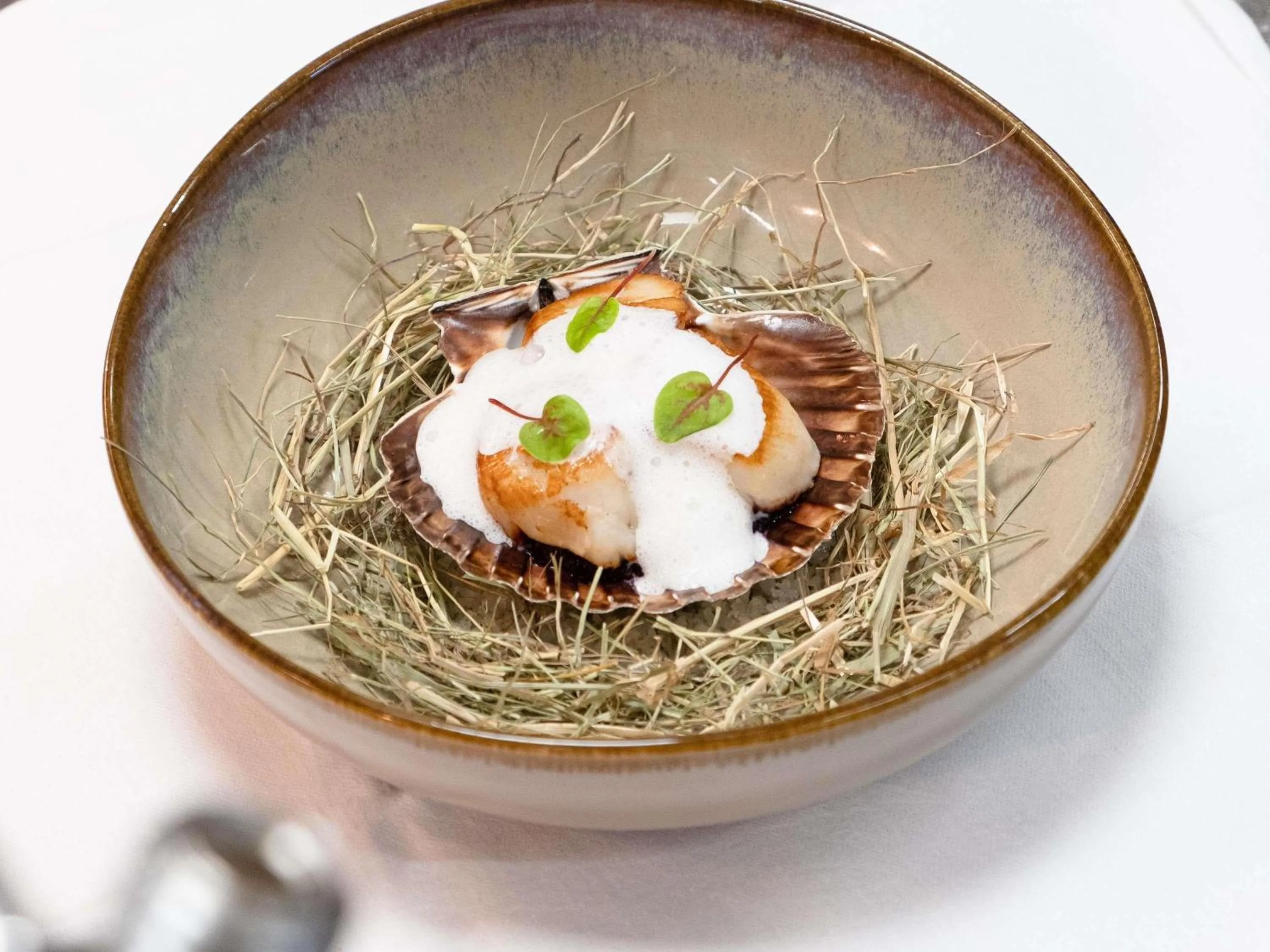 Restaurant/places to eat in Mercure Saint-Lary