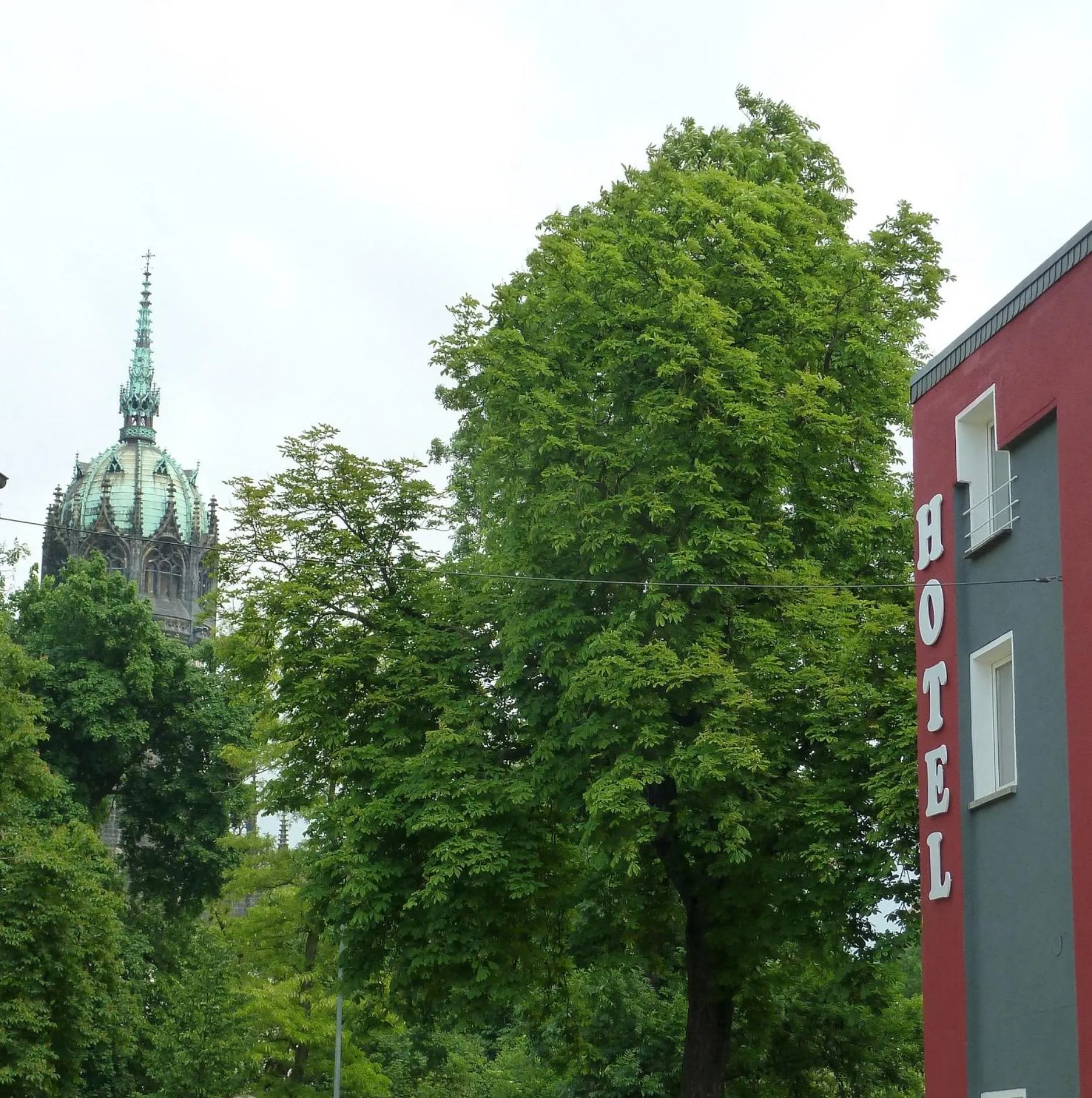 Nearby landmark in Hotel Wittenberg-Hotel Garni