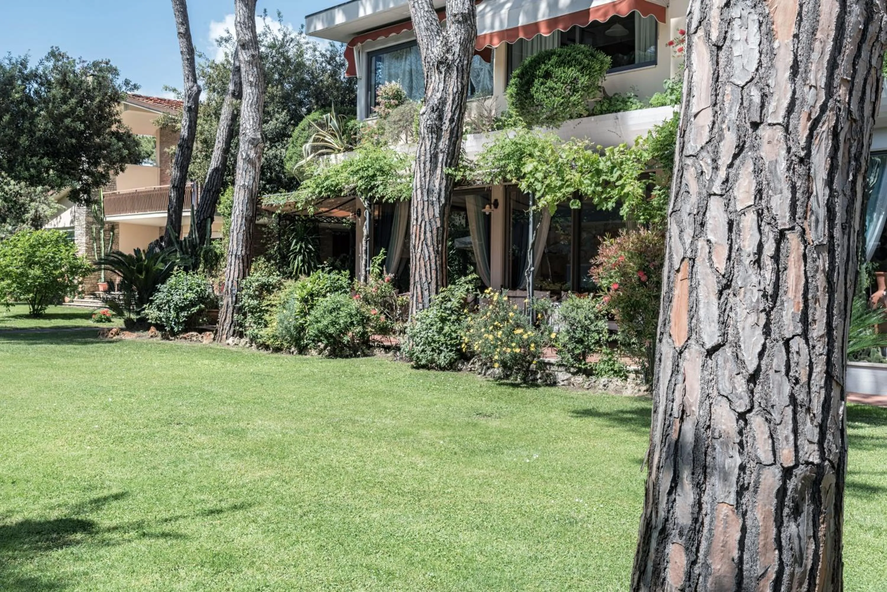 Garden in Hotel Andreaneri