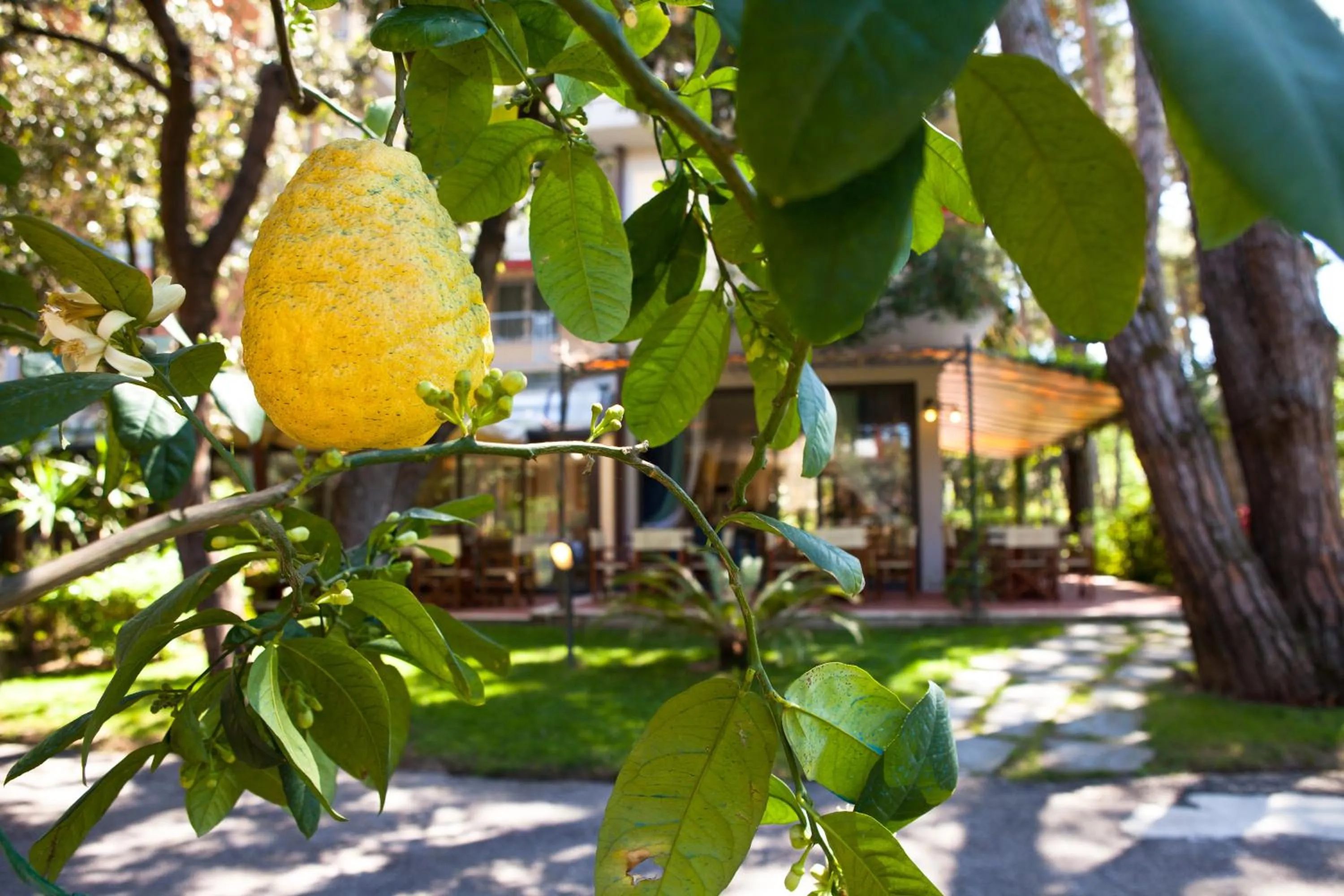 Property building in Hotel Andreaneri