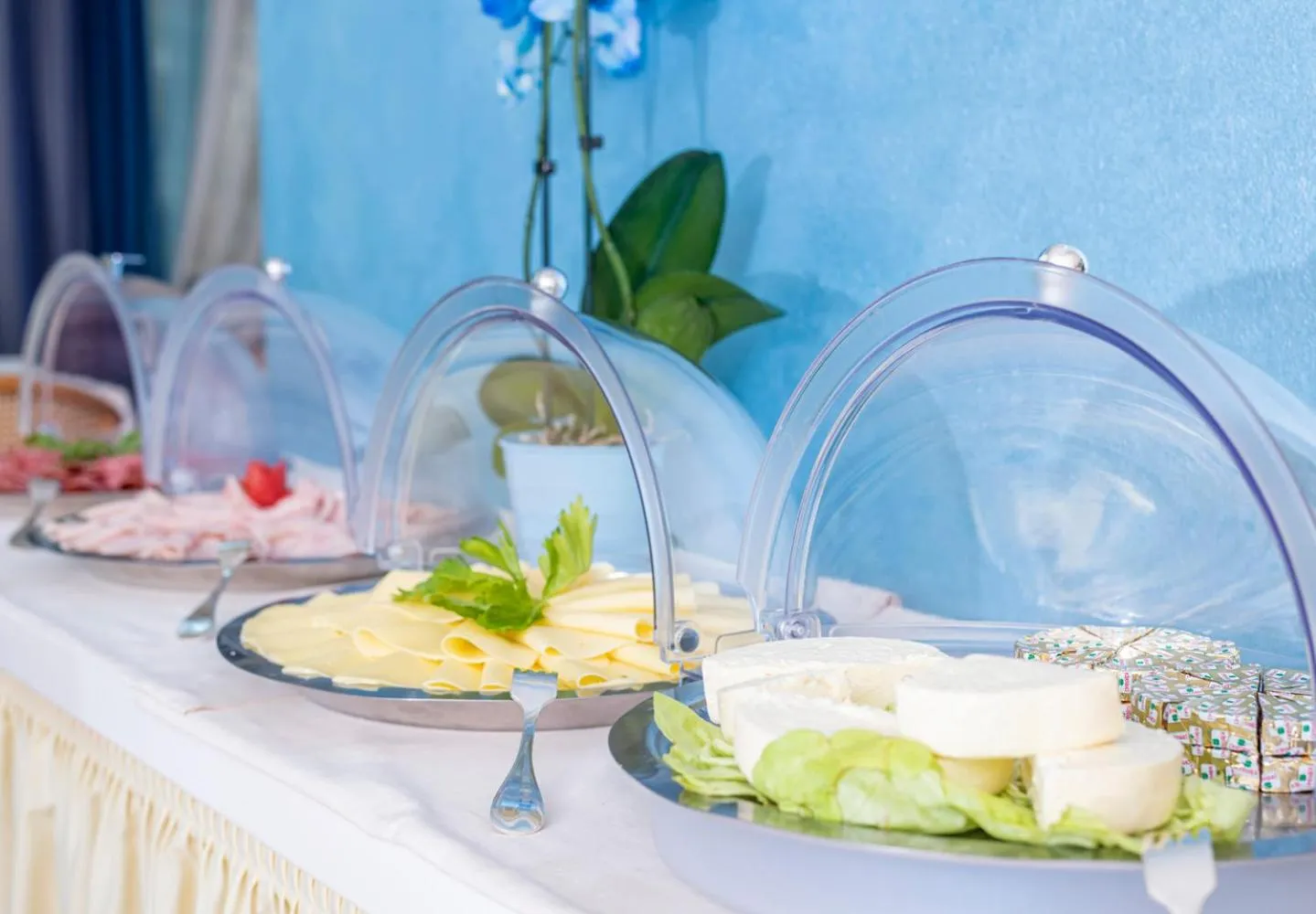 Food and drinks in Hotel Andreaneri