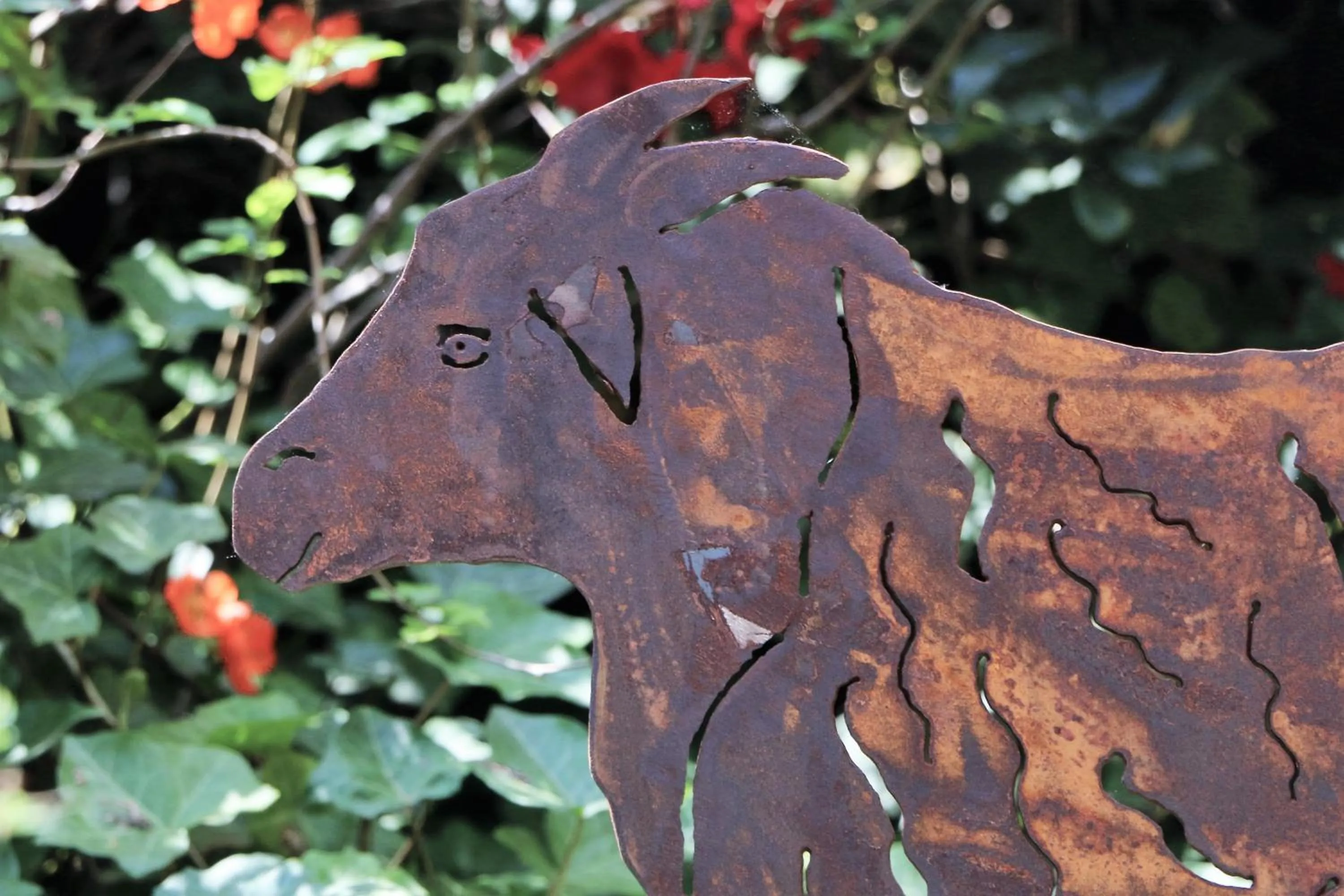 Garden in Hotel Pension Fortuna