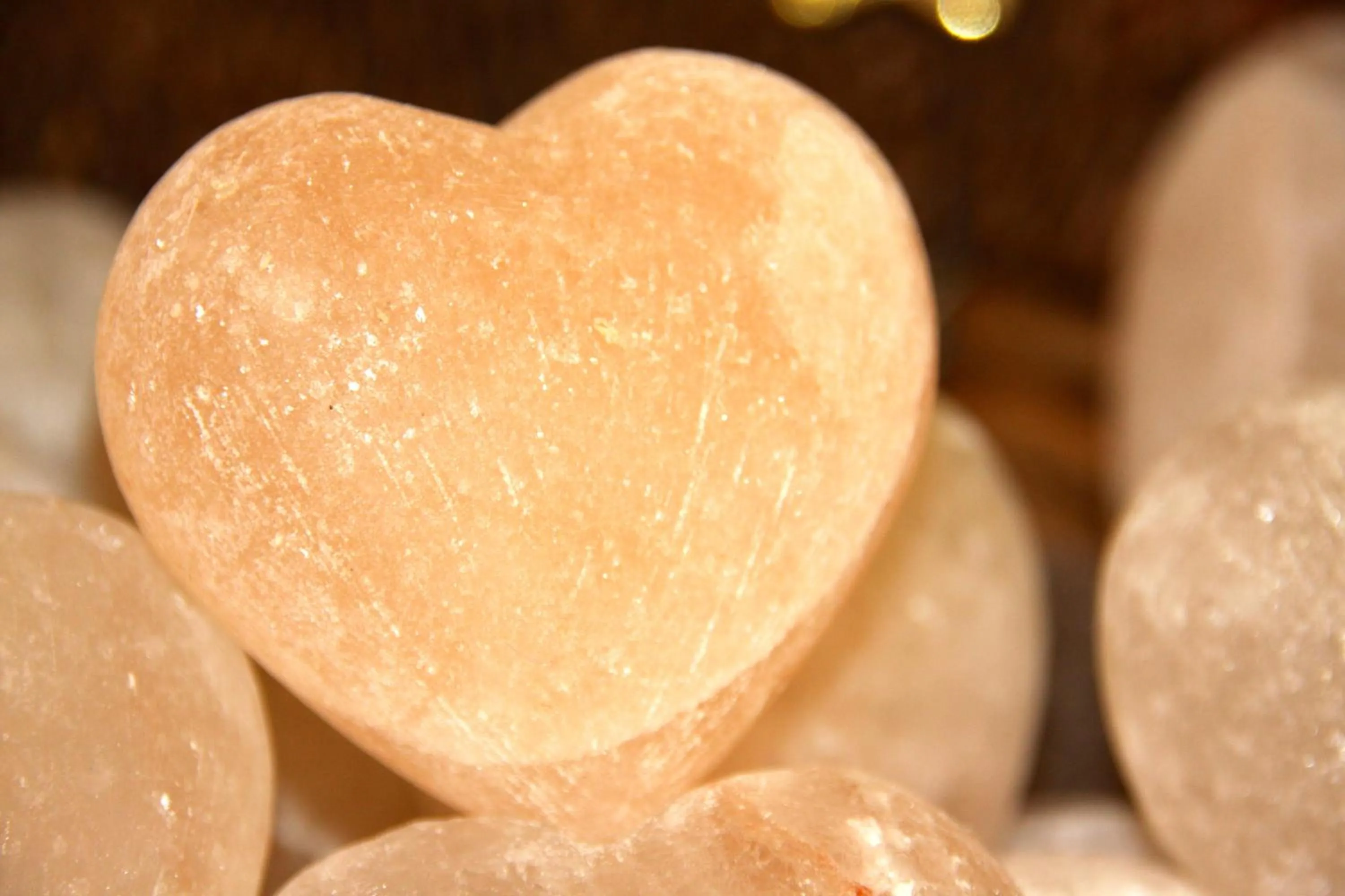 Lobby or reception in Hotel Pension Fortuna