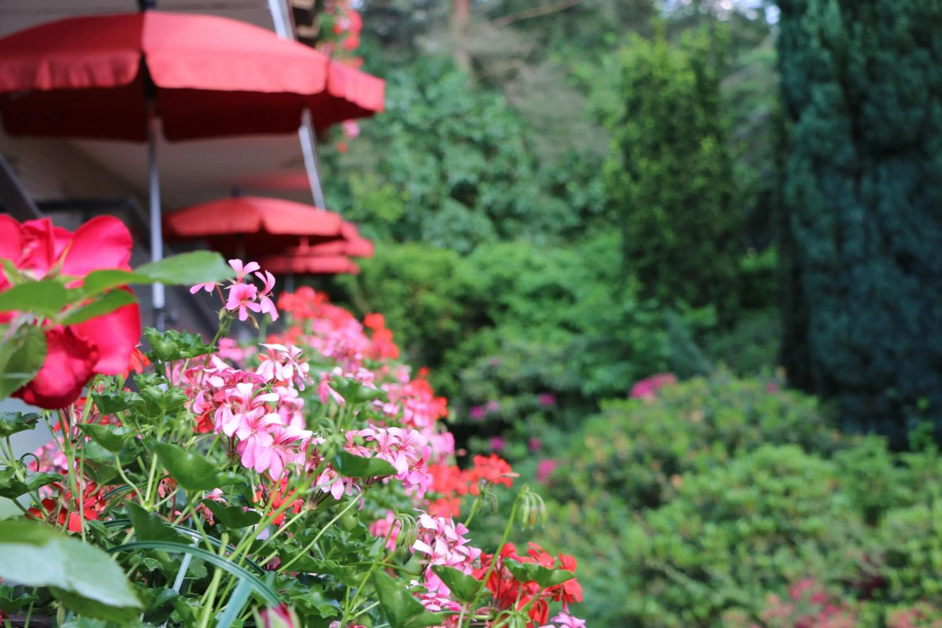 Property building in Hotel Pension Fortuna