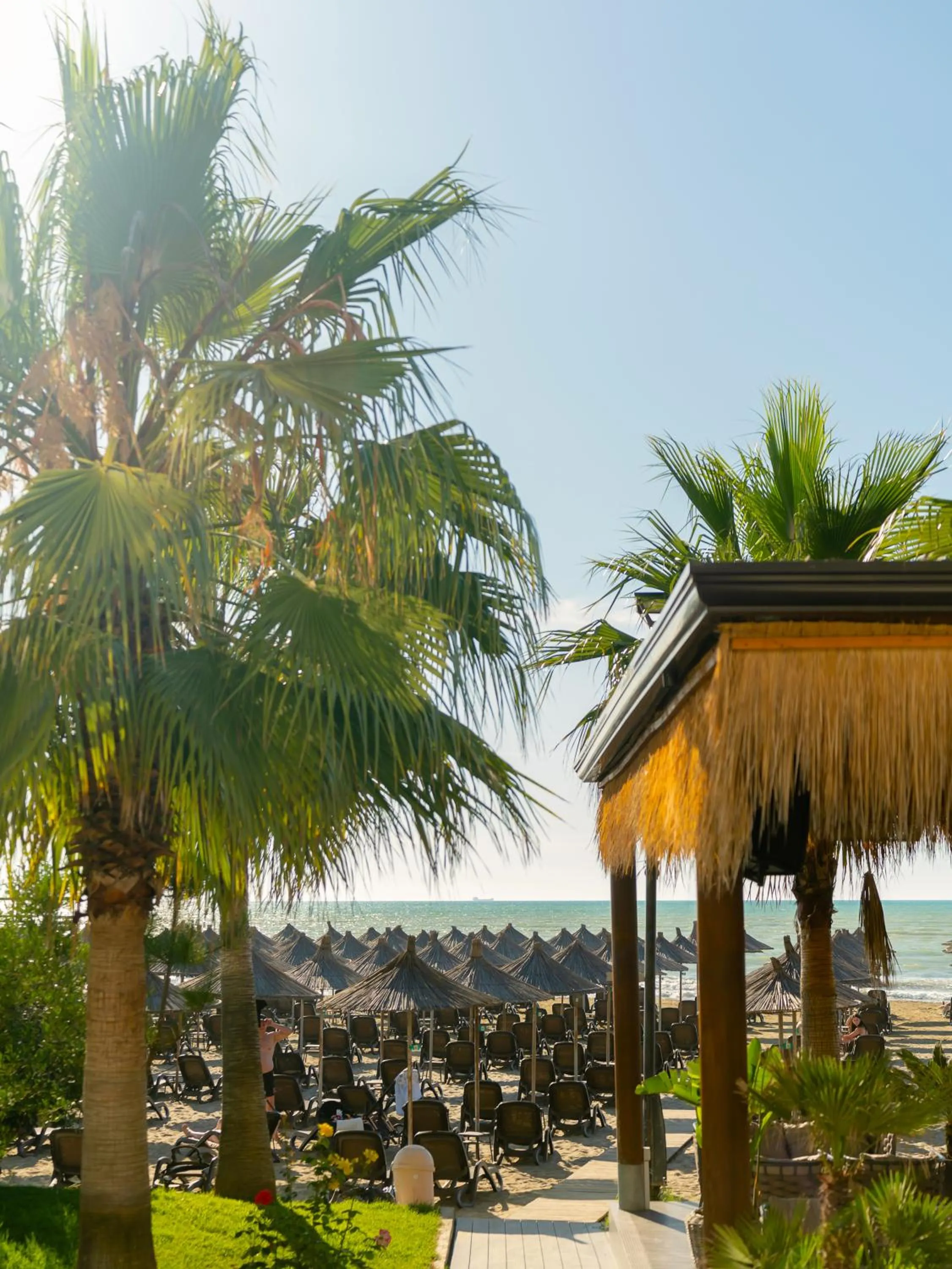 Beach in Gloria Palace Hotel & SPA