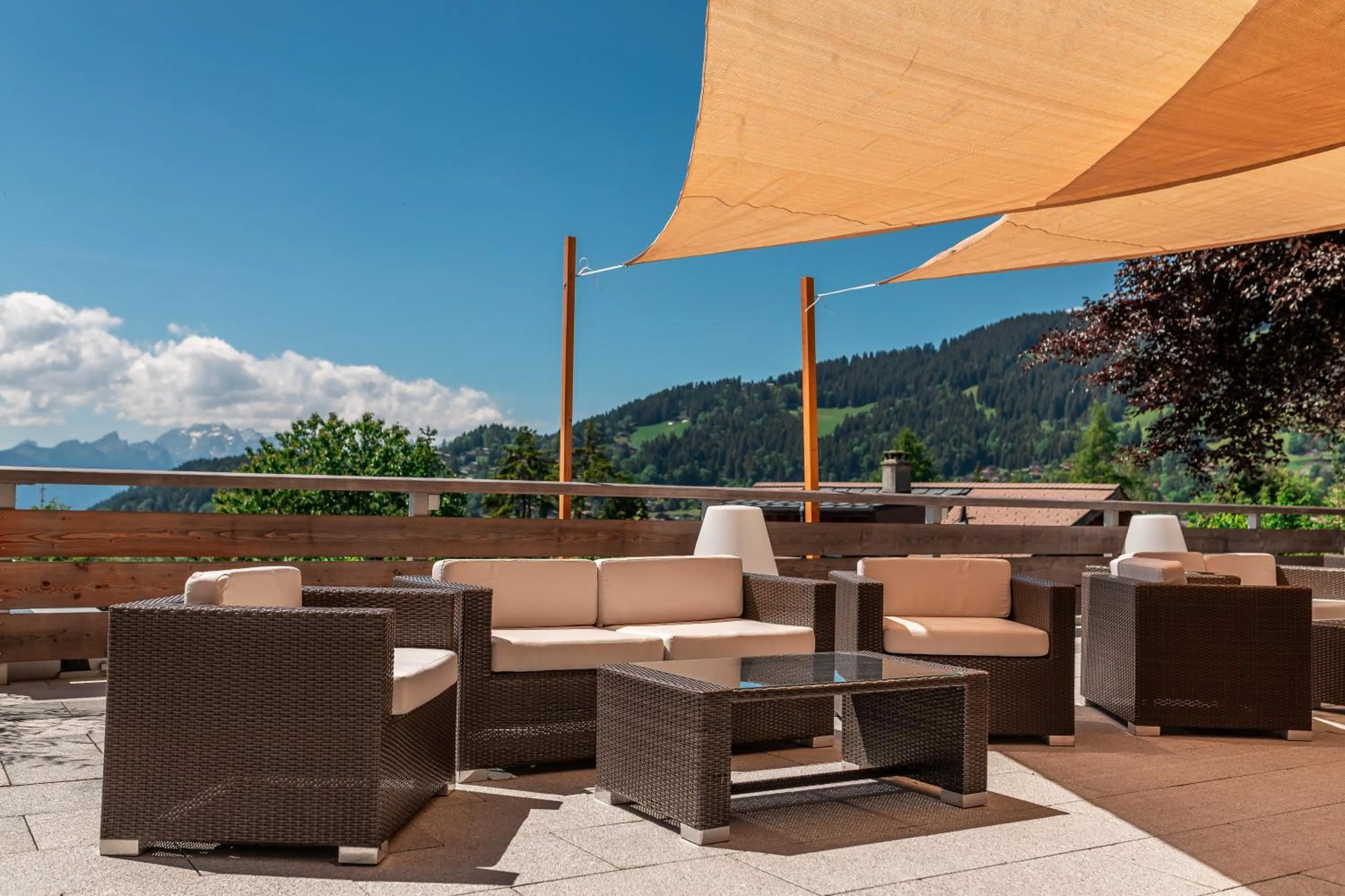 View (from property/room) in VIU Hotel Villars