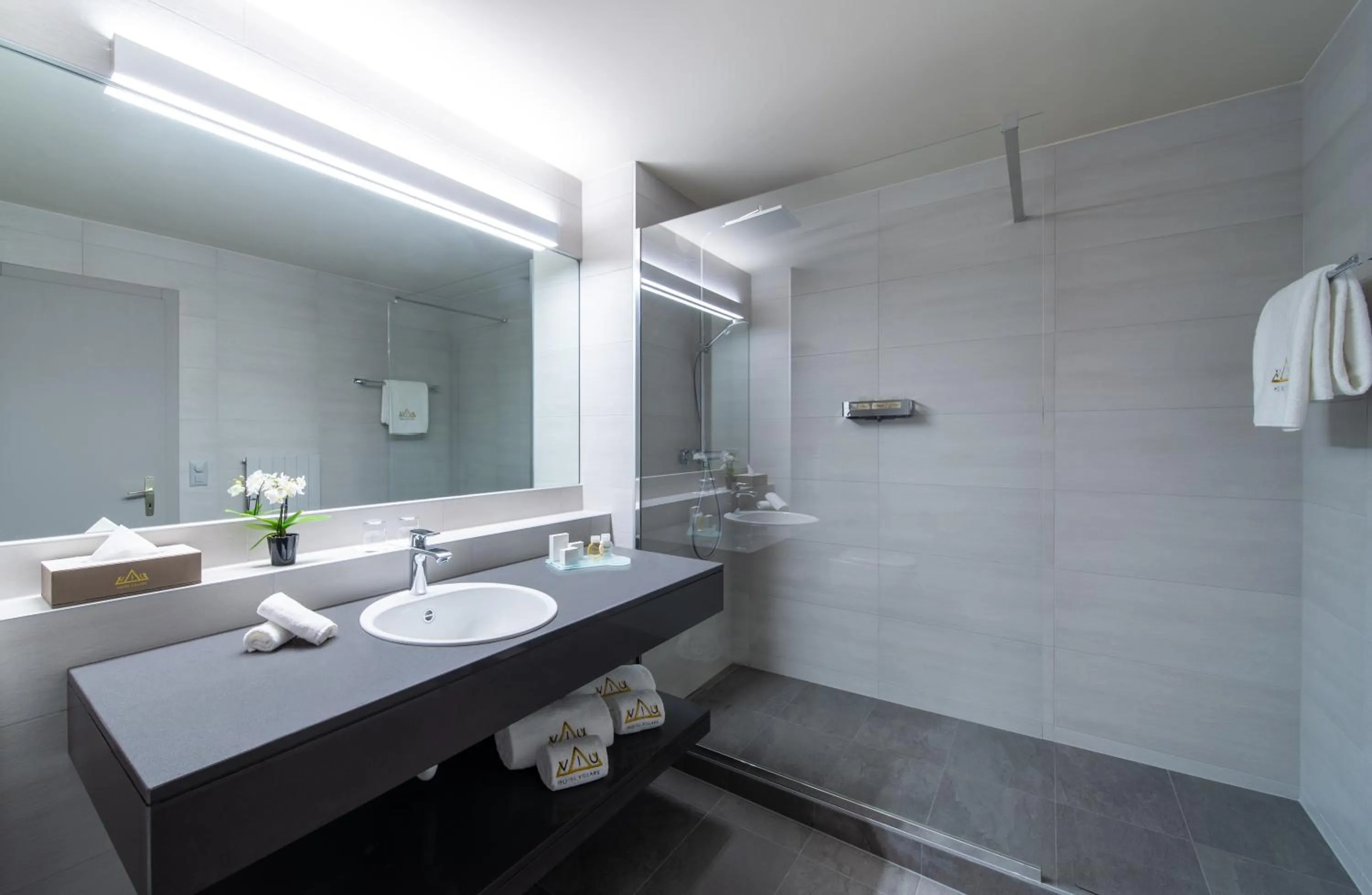 Shower in VIU Hotel Villars