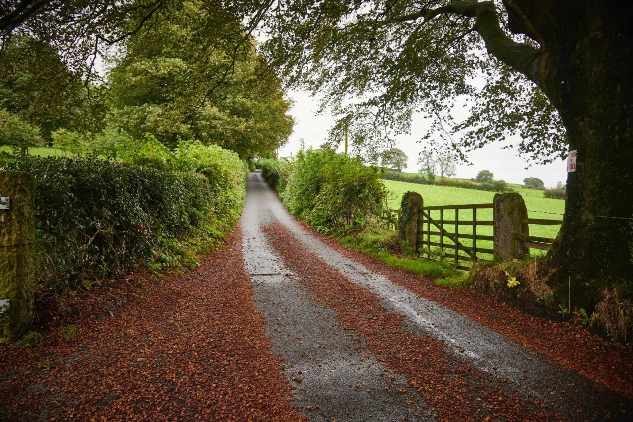 Natural landscape in Newlands Farm Stables