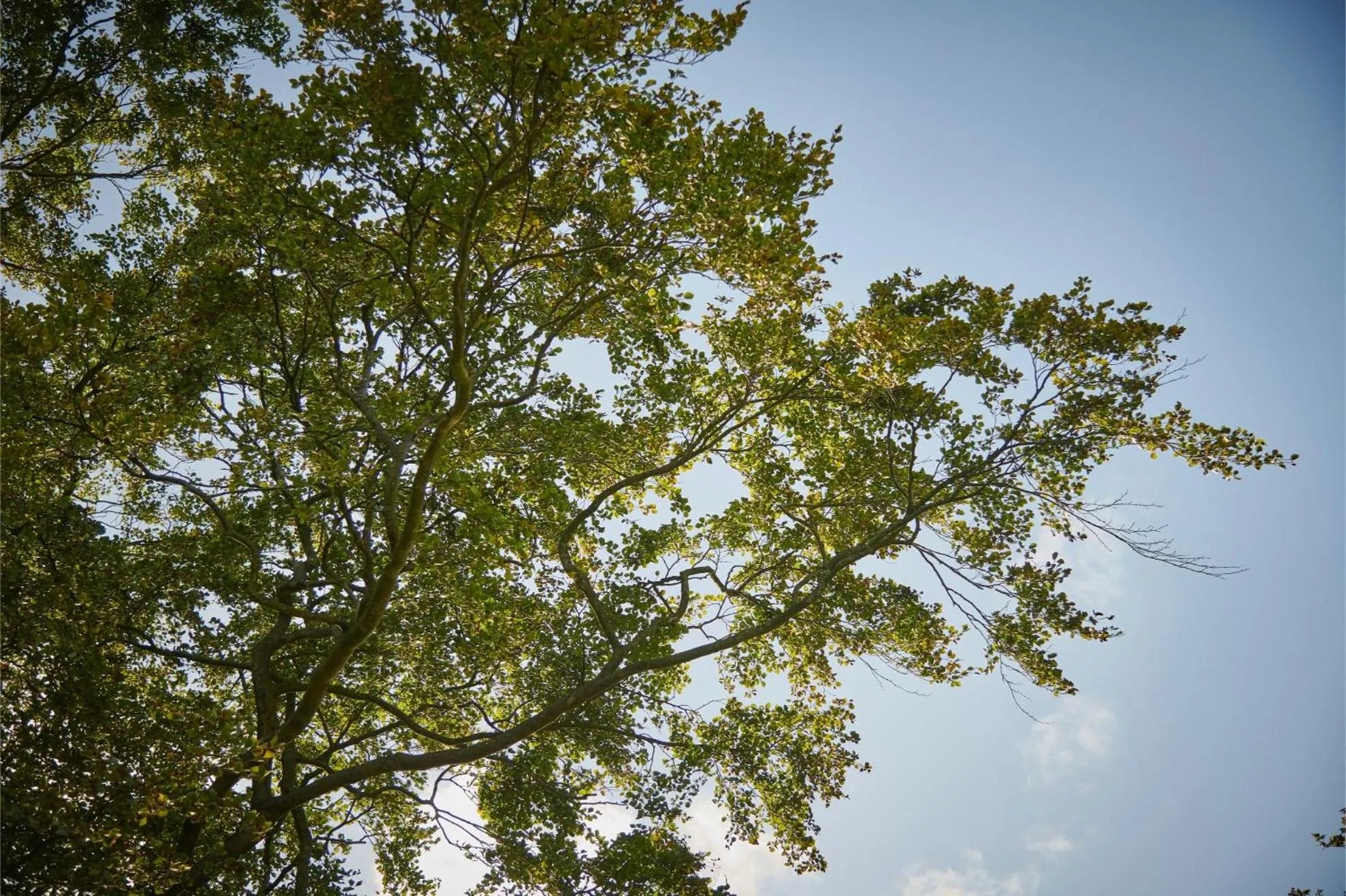 Natural landscape in Newlands Farm Stables