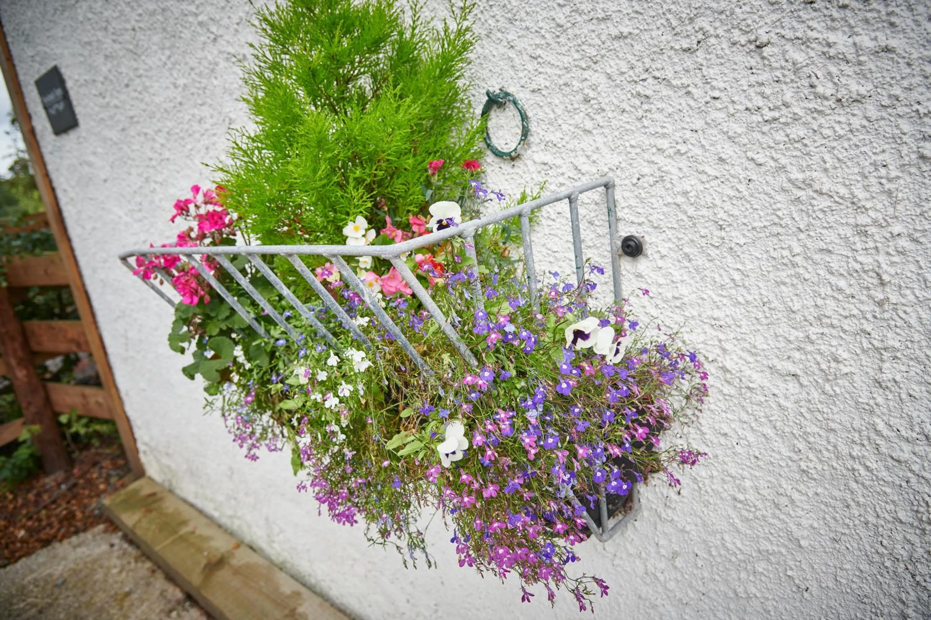 Other in Newlands Farm Stables