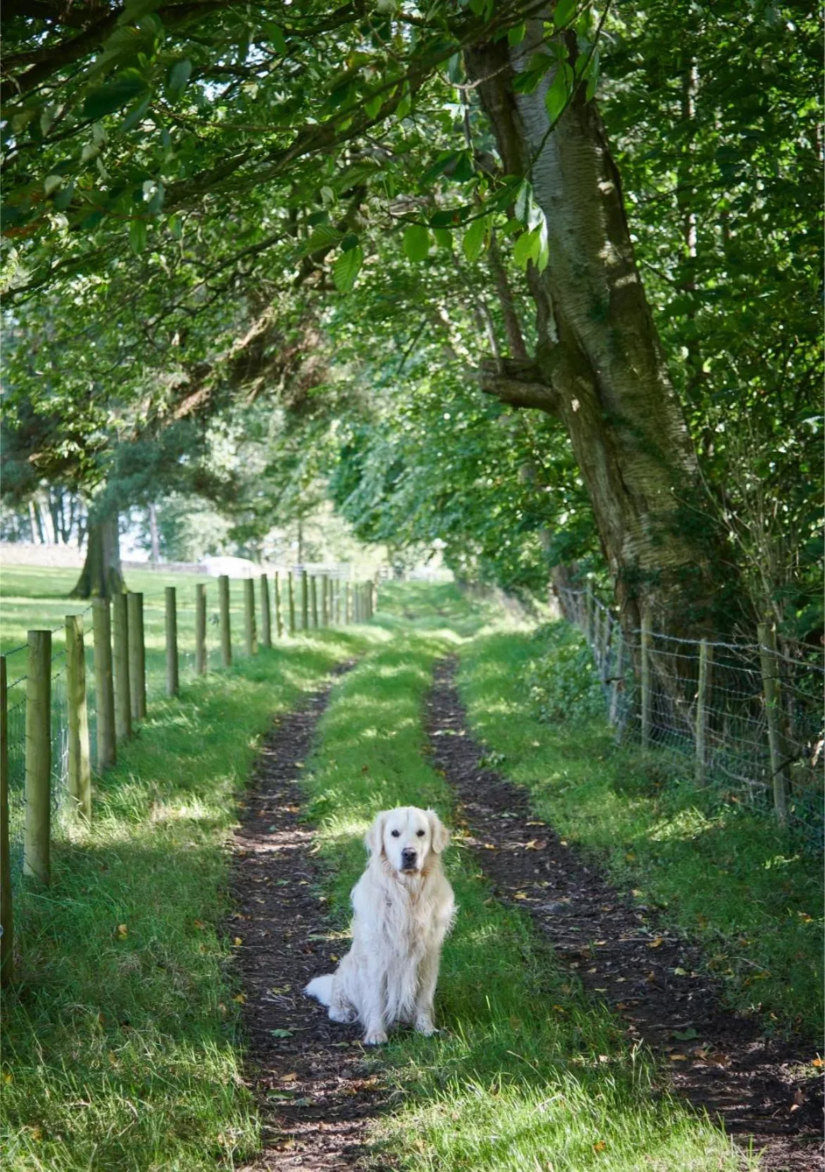 Natural landscape in Newlands Farm Stables