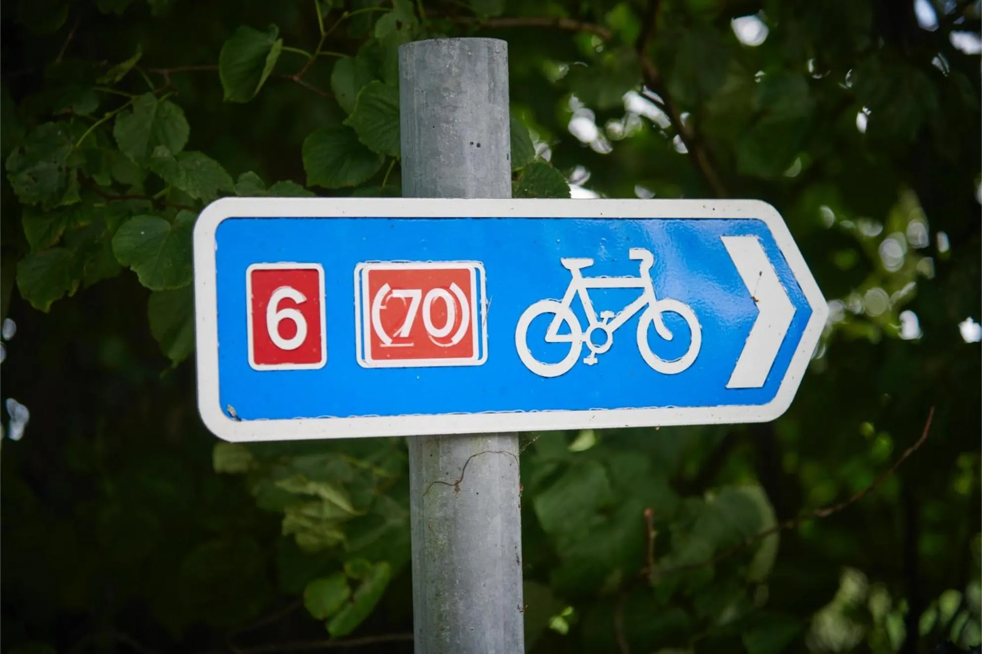 Activities in Newlands Farm Stables