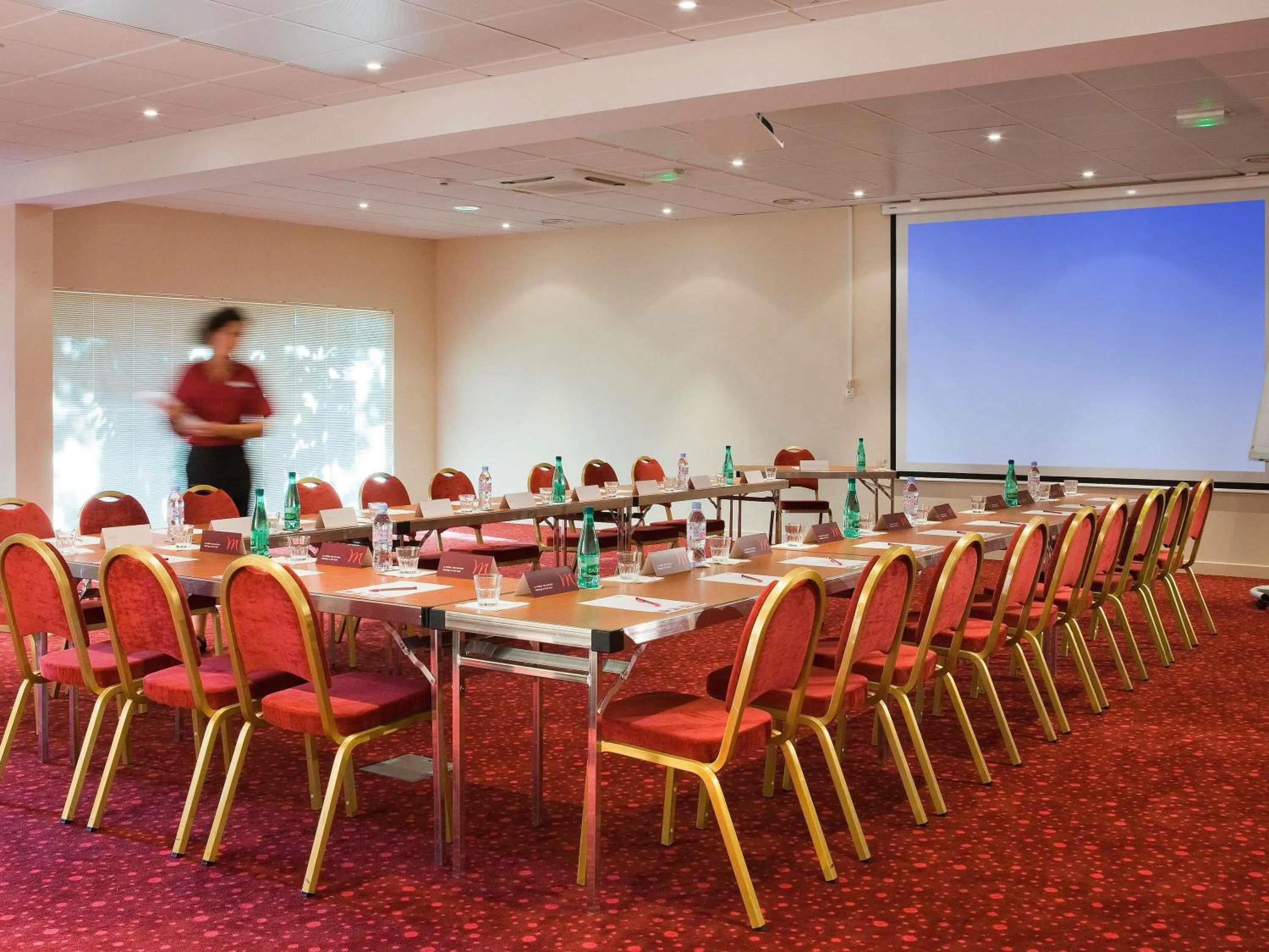 Meeting/conference room in Mercure Lyon Est Villefontaine