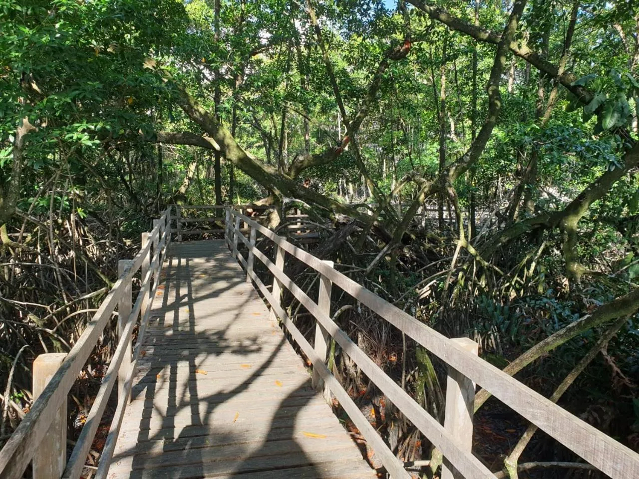 Hiking in Ma Chambre d’Hôte