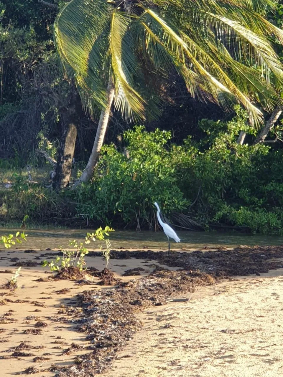 Activities in Ma Chambre d’Hôte