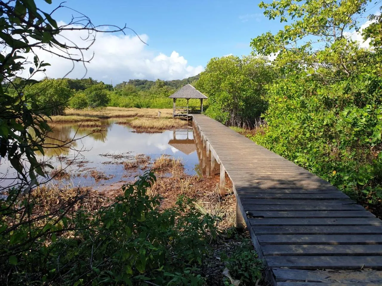 Activities in Ma Chambre d’Hôte