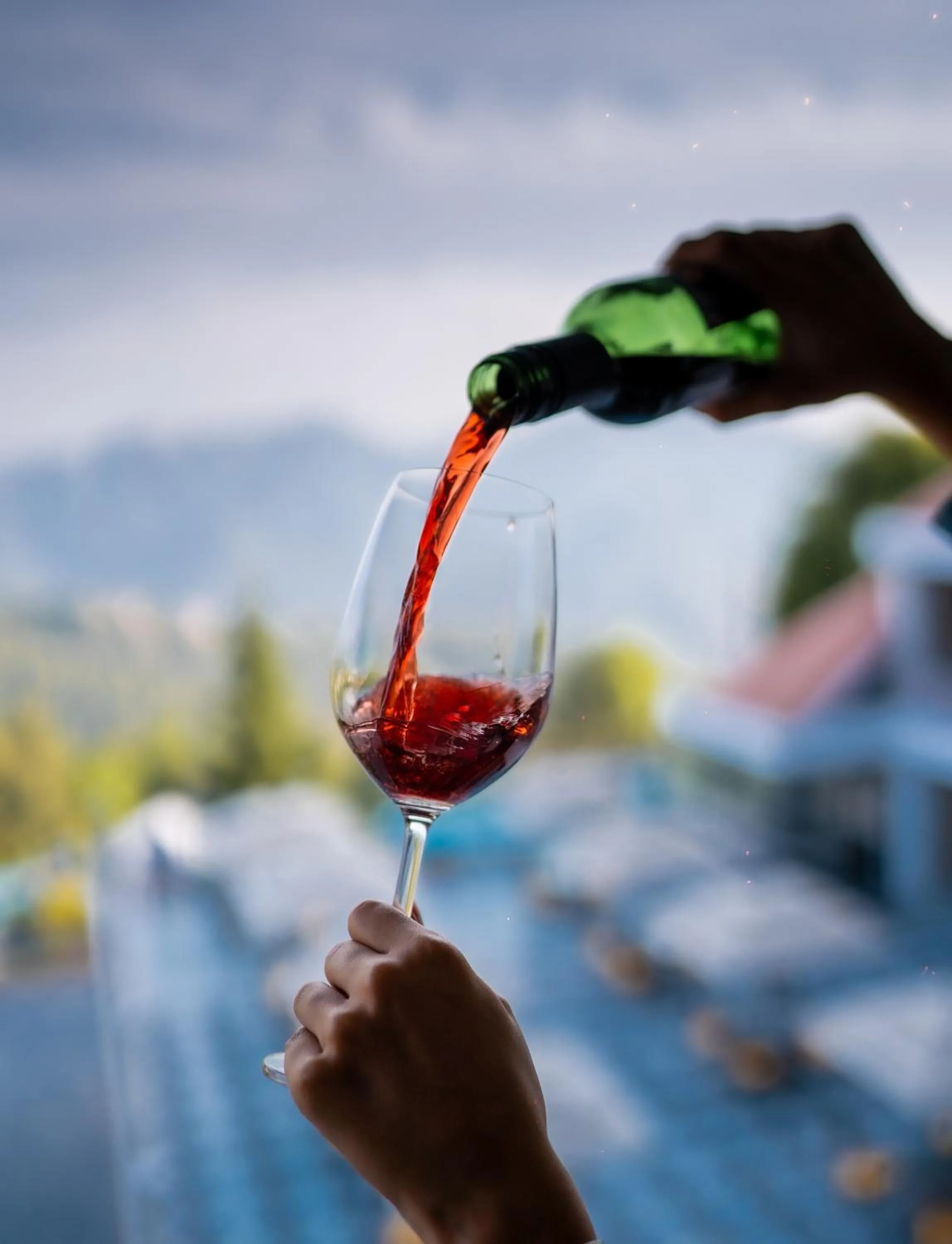 Alcoholic drinks in Marigold Sarovar Portico Shimla